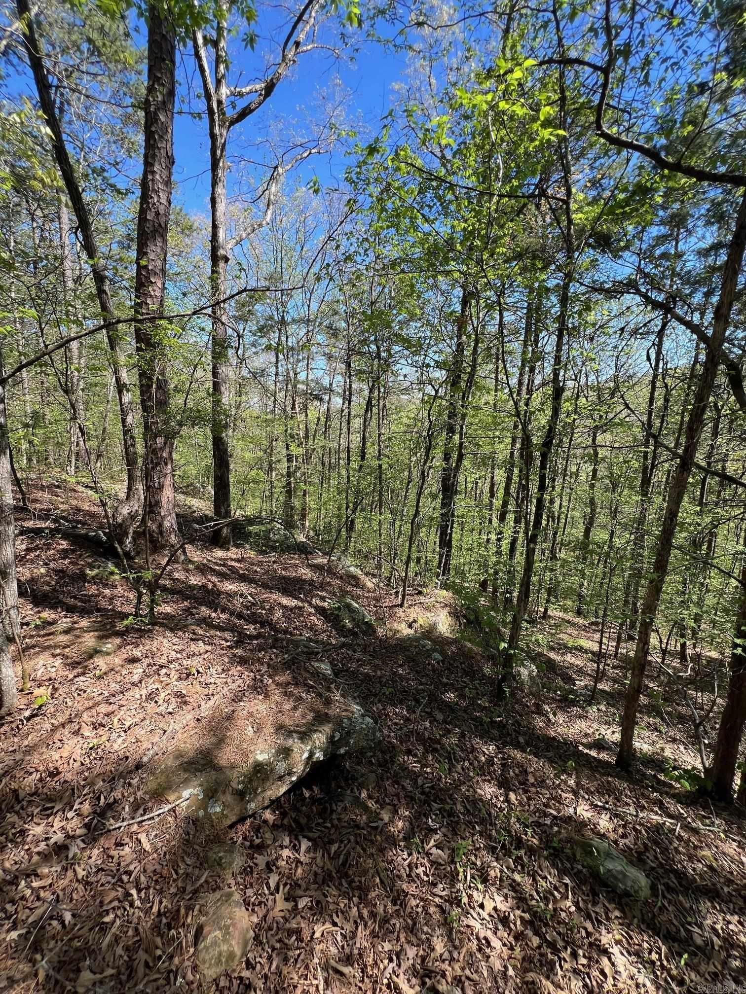 233 White  Clinton, AR