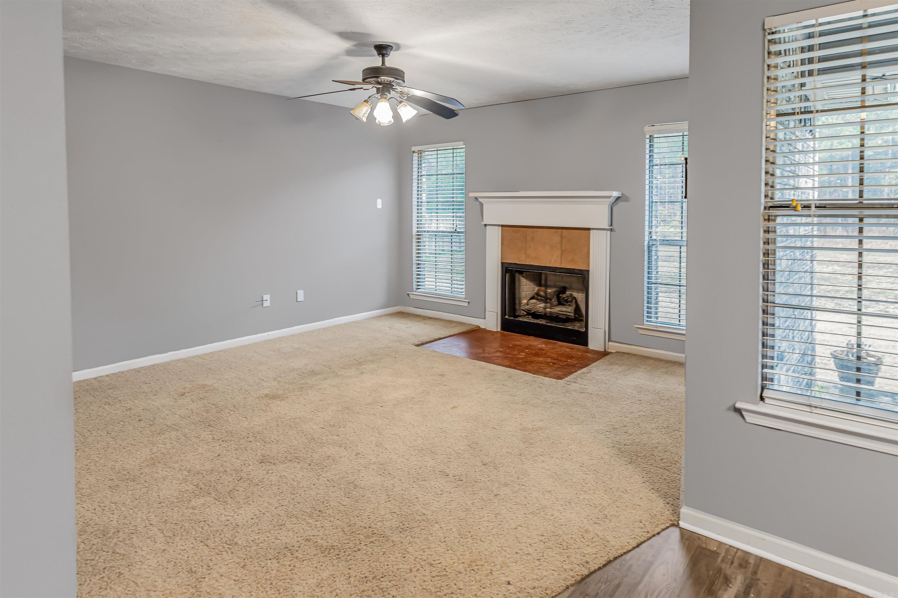 60 Wilhelmina Cv  Conway, AR