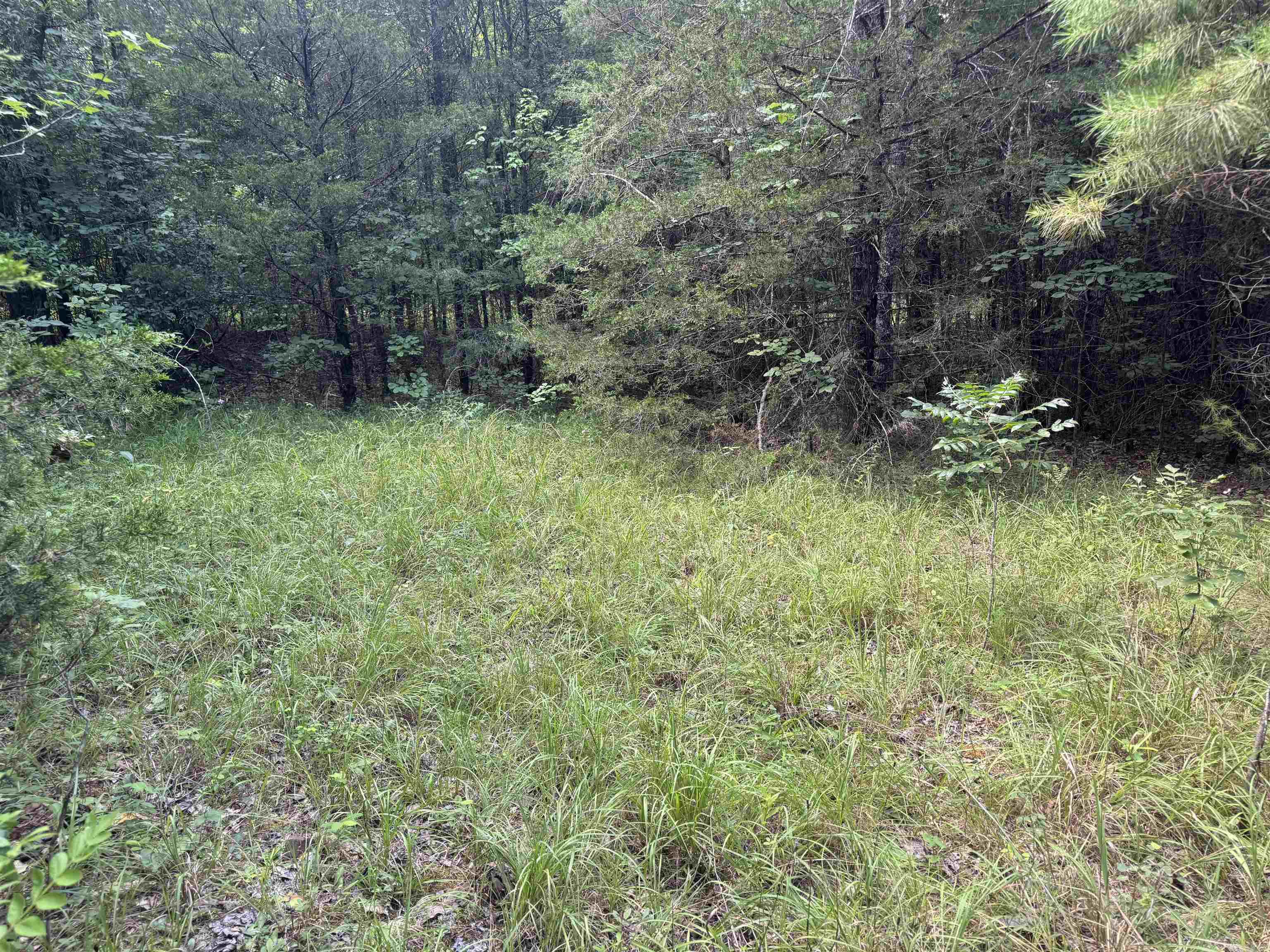 00 Moon  Sherwood, AR