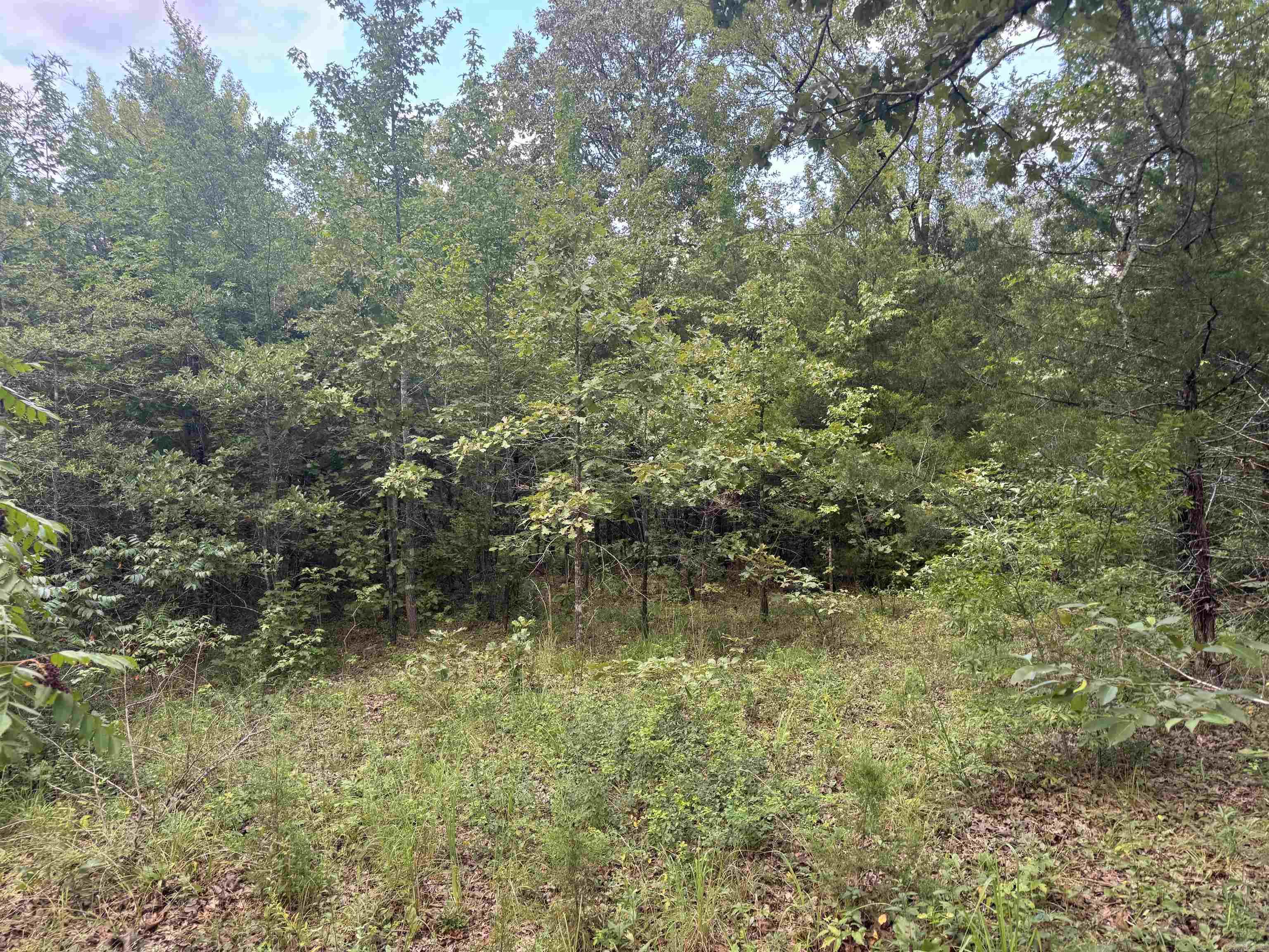 00 Moon  Sherwood, AR