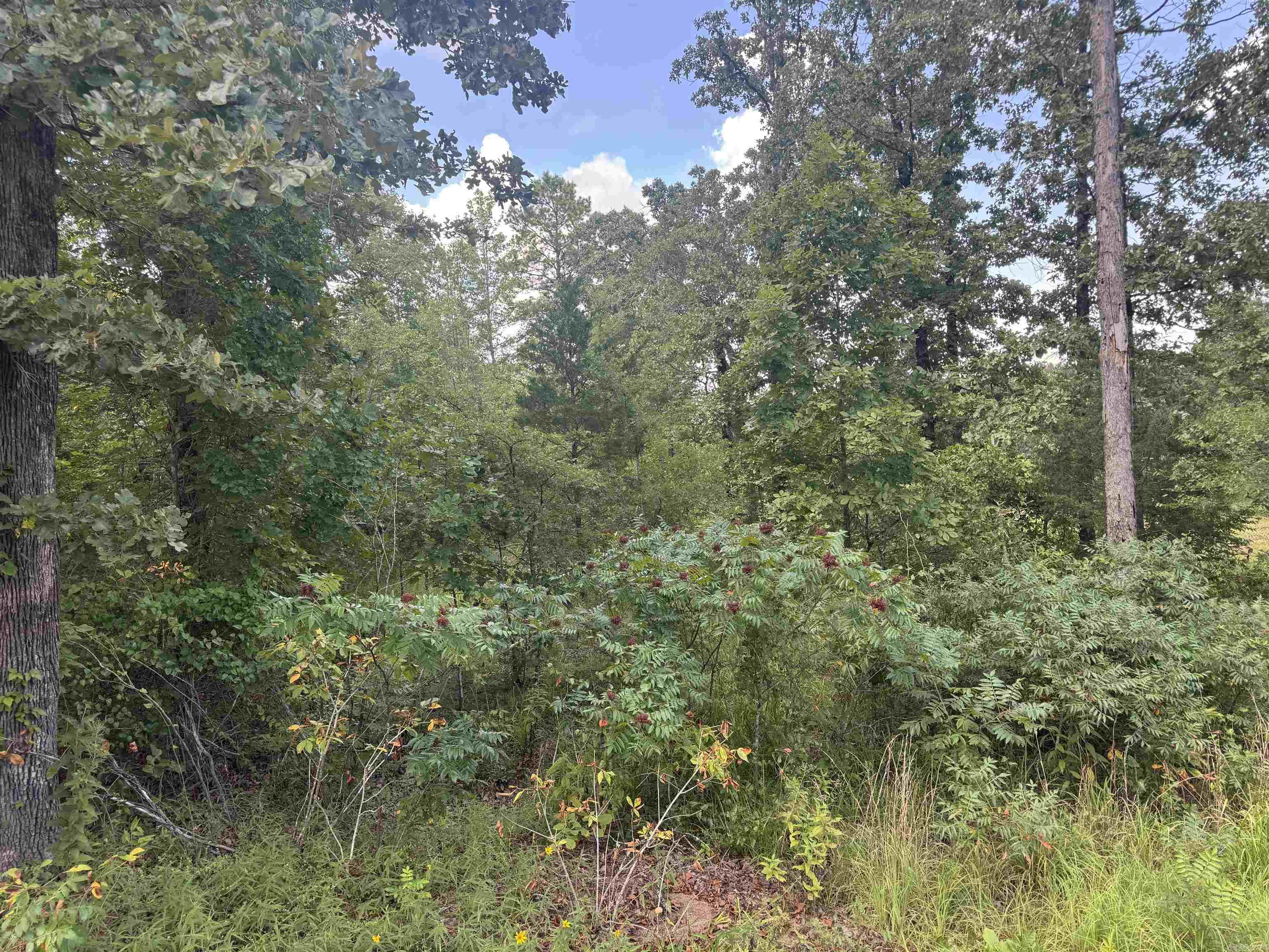 00 Moon  Sherwood, AR