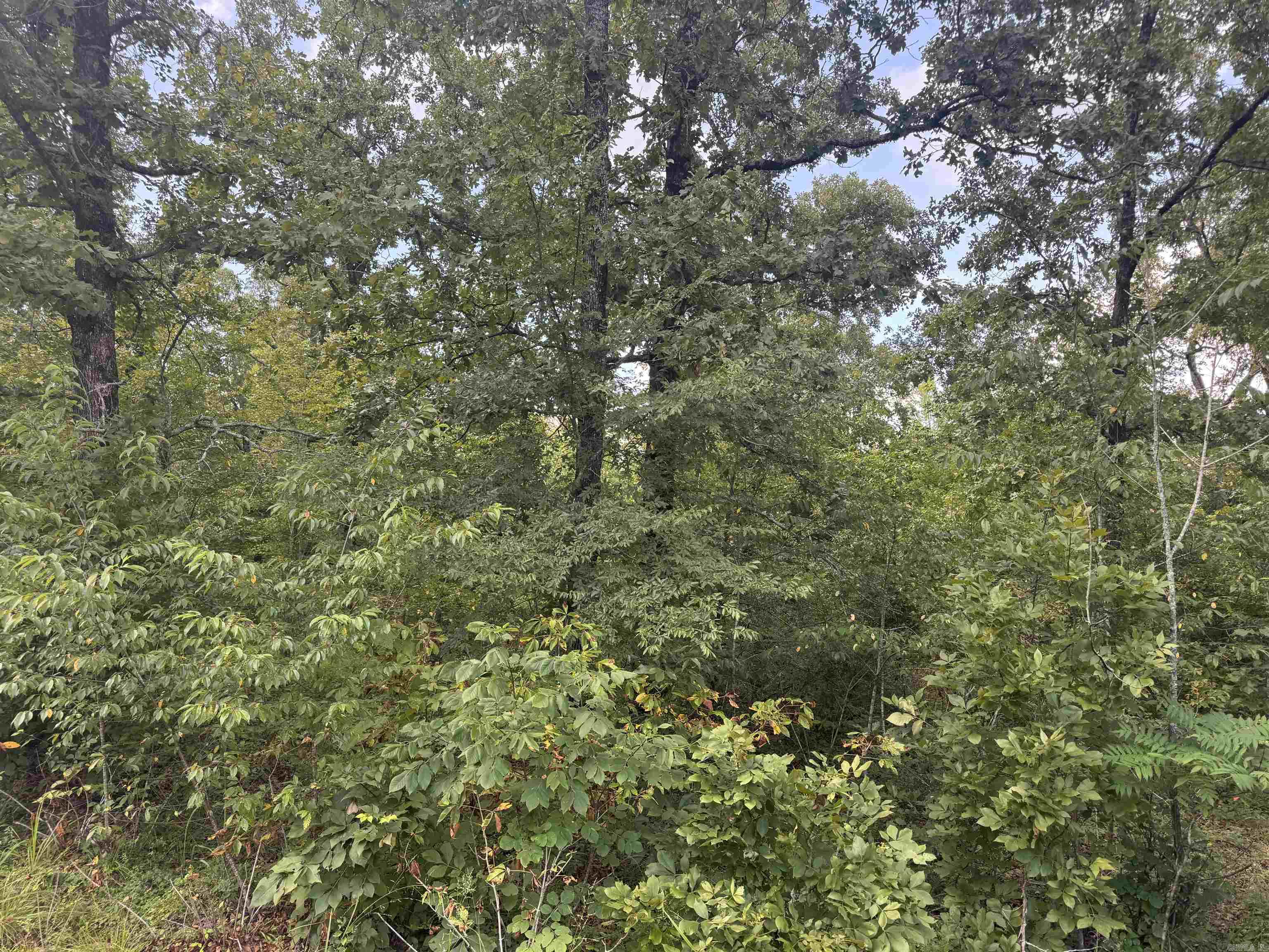 00 Moon  Sherwood, AR