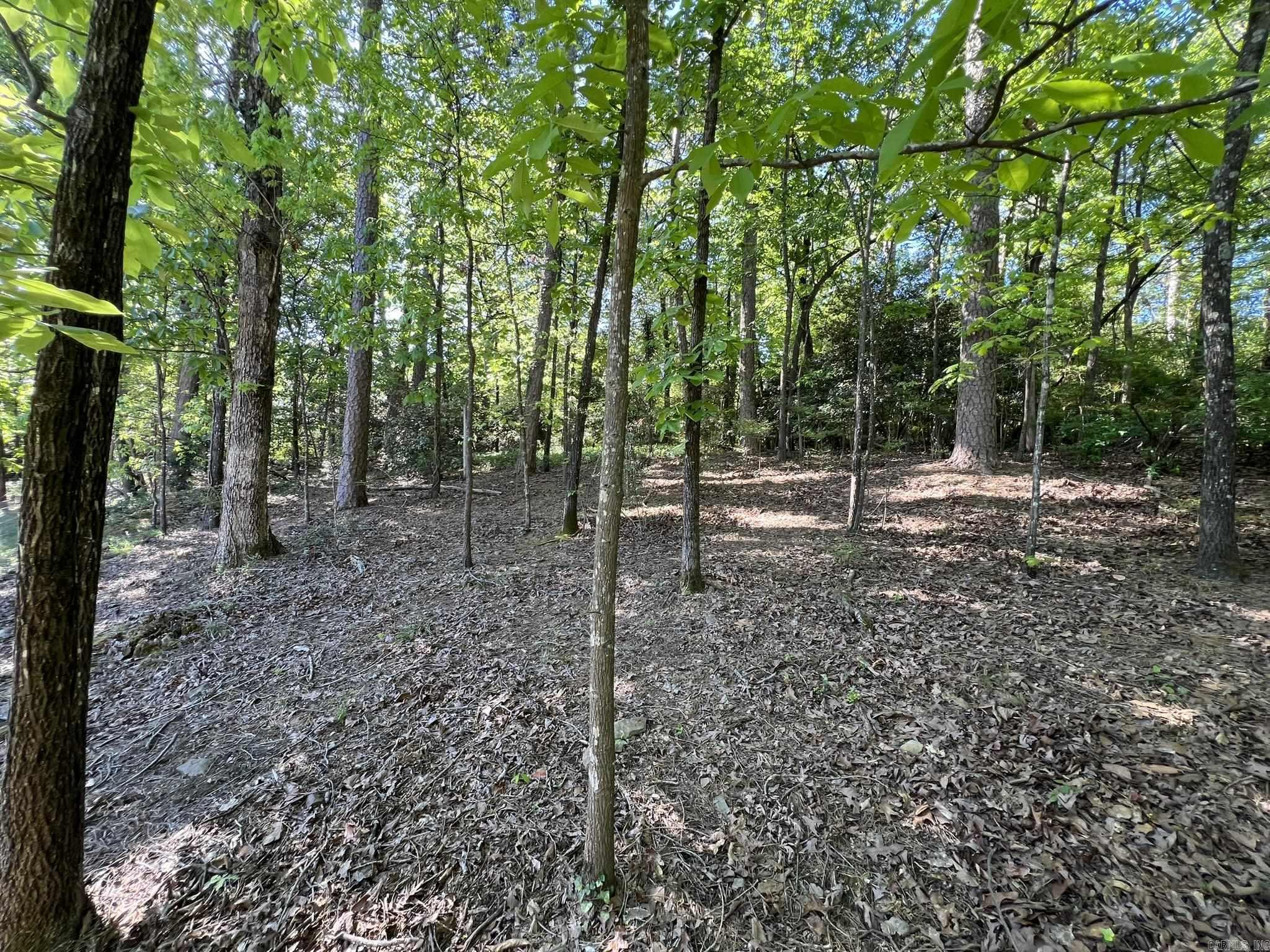 000 Kingston  Little Rock, AR