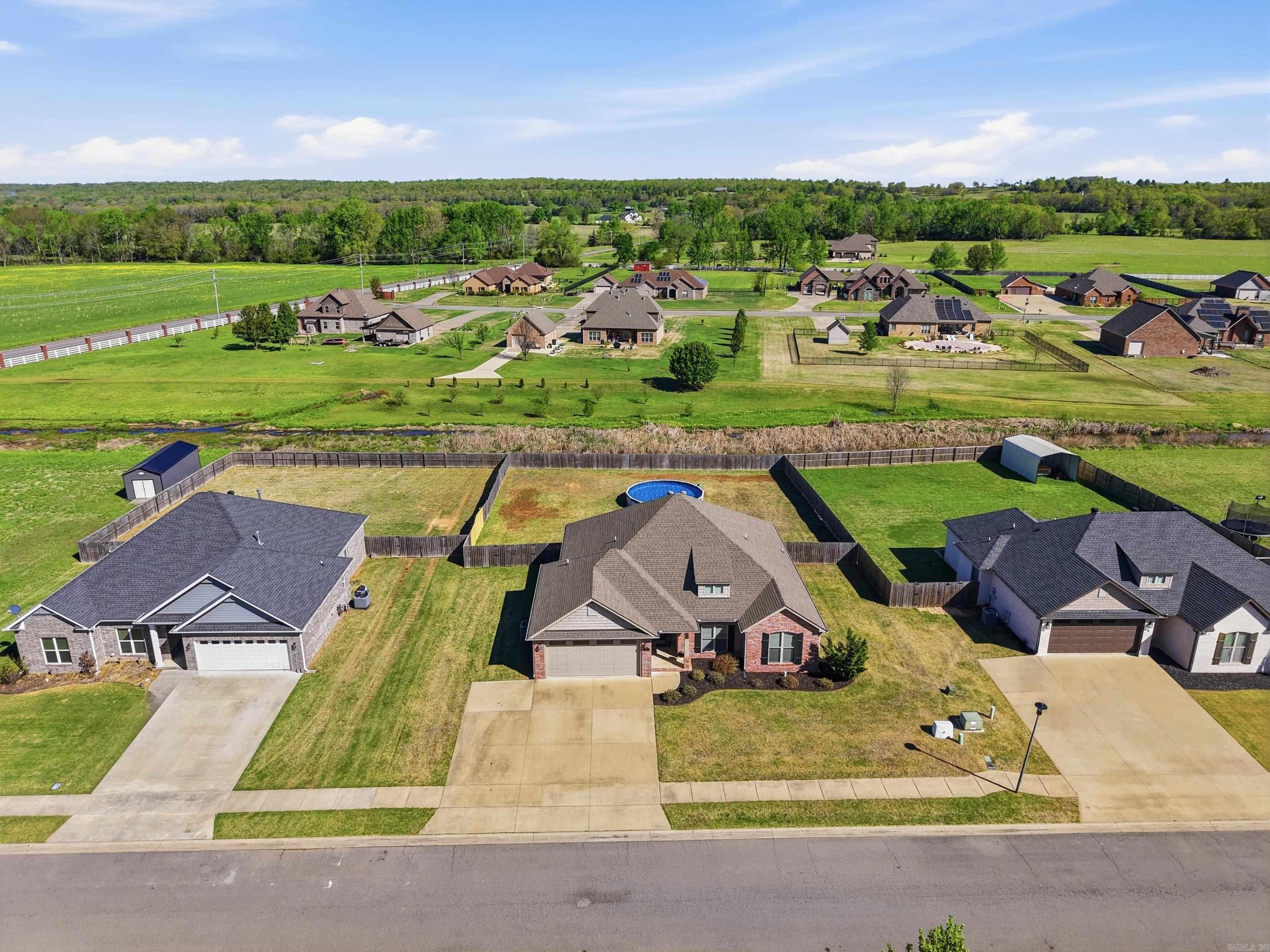 11 Palamino  Vilonia, AR