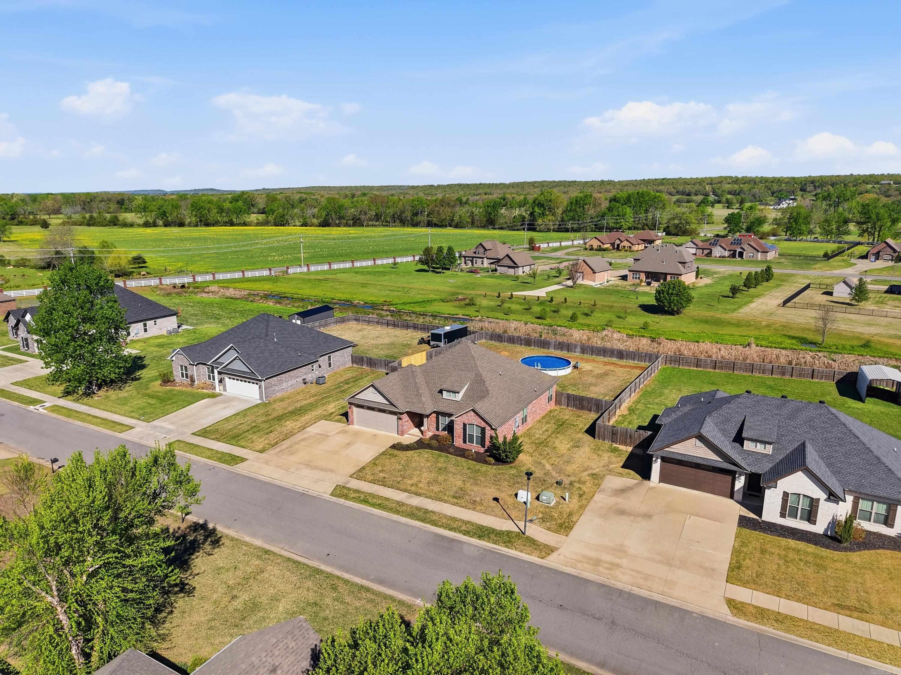 11 Palamino  Vilonia, AR