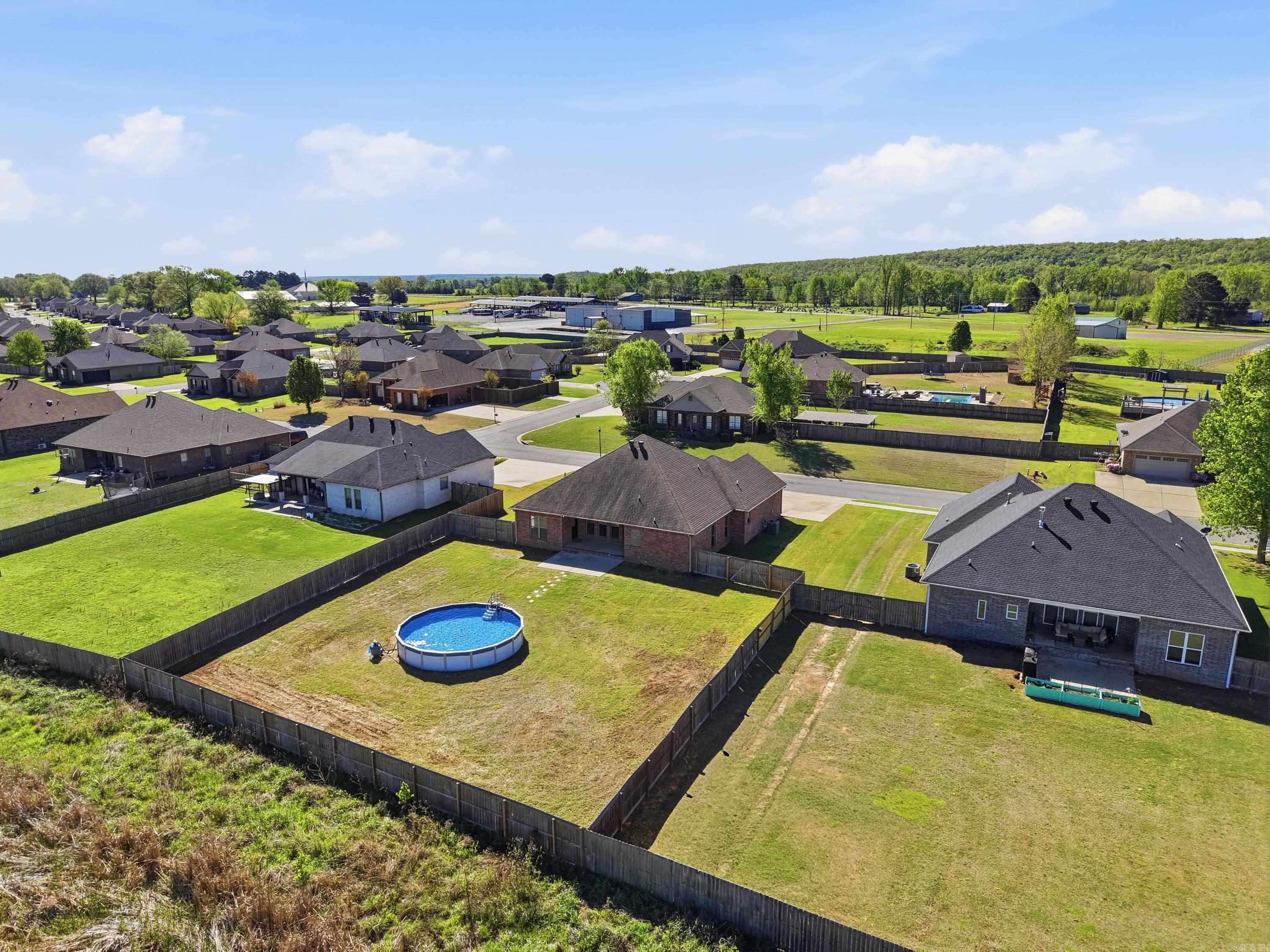 11 Palamino  Vilonia, AR