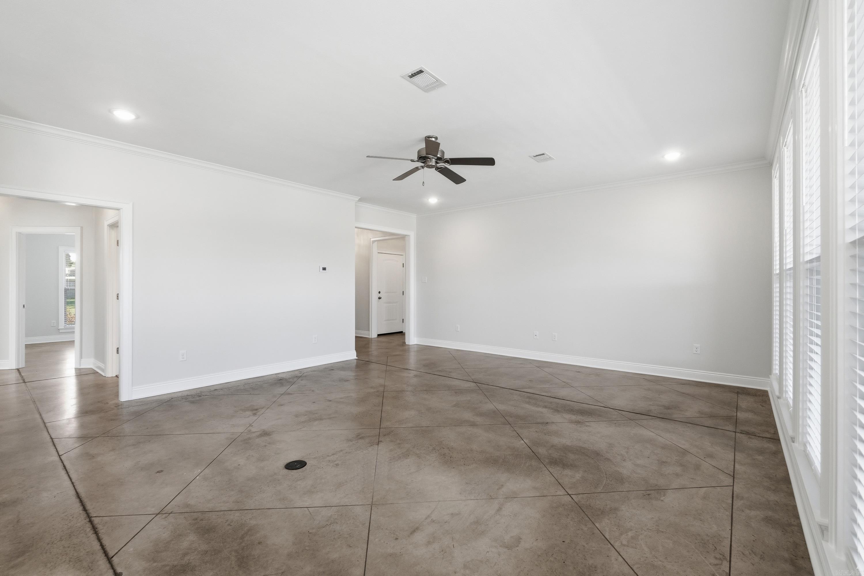 11 Palamino  Vilonia, AR