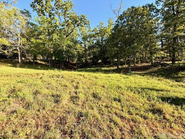 112 Turtle Creek  Maumelle, AR