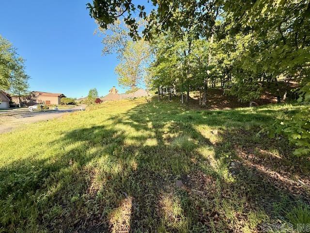 112 Turtle Creek  Maumelle, AR