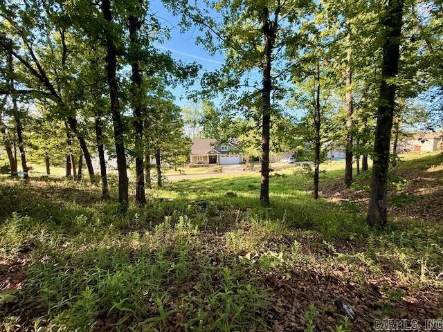 112 Turtle Creek  Maumelle, AR