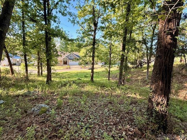 112 Turtle Creek  Maumelle, AR