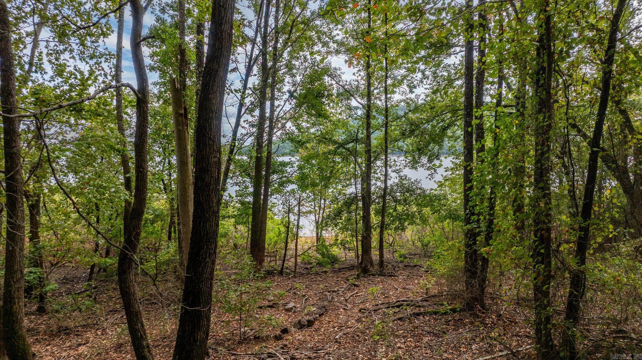 167 Wilshire  Fairfield Bay, AR