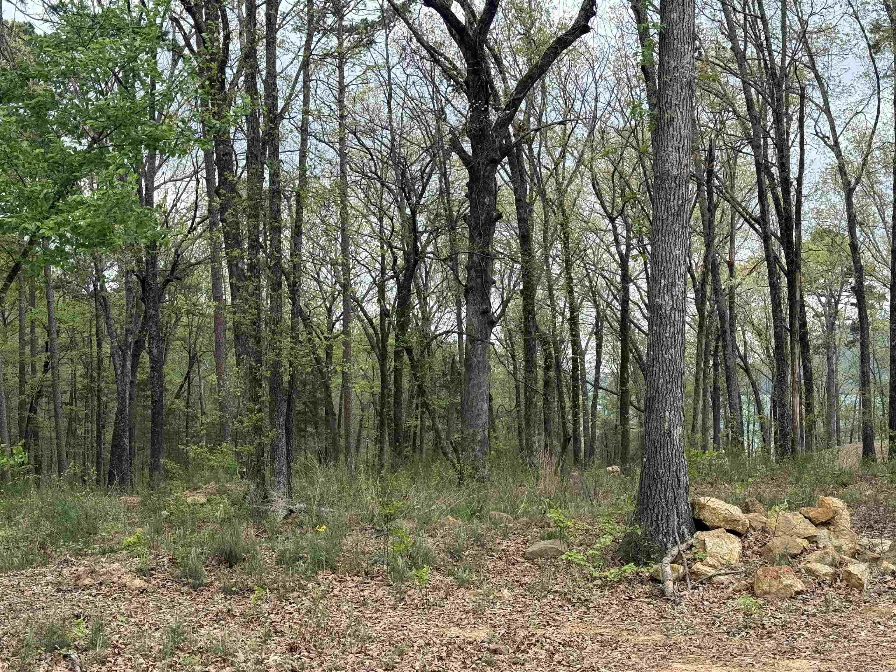 Lot 26 Shiloh Landing Pointe  Greers Ferry, AR