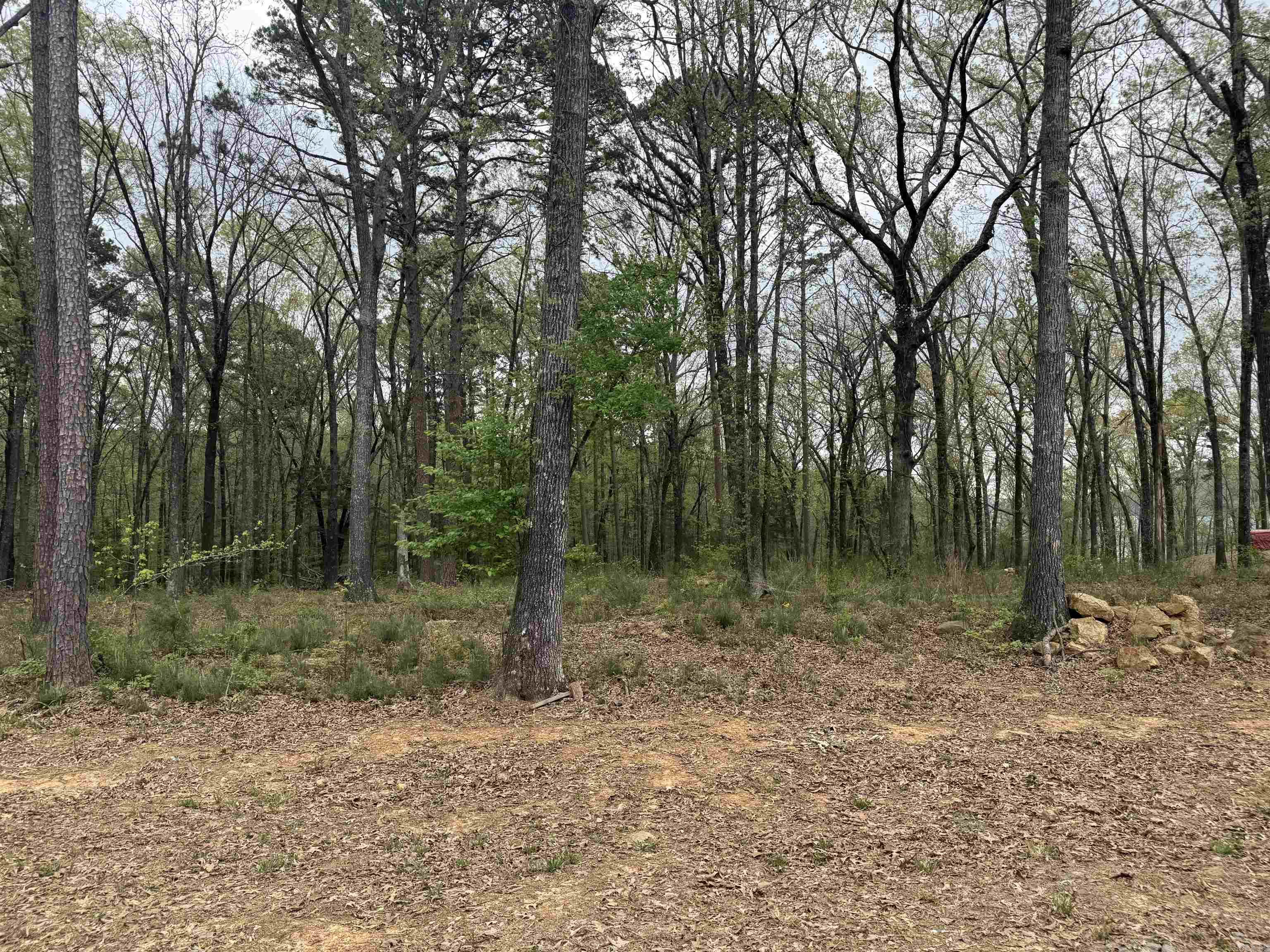 Lot 26 Shiloh Landing Pointe  Greers Ferry, AR
