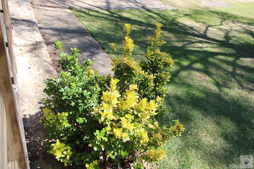 10381 St Hwy 196  Texarkana, AR