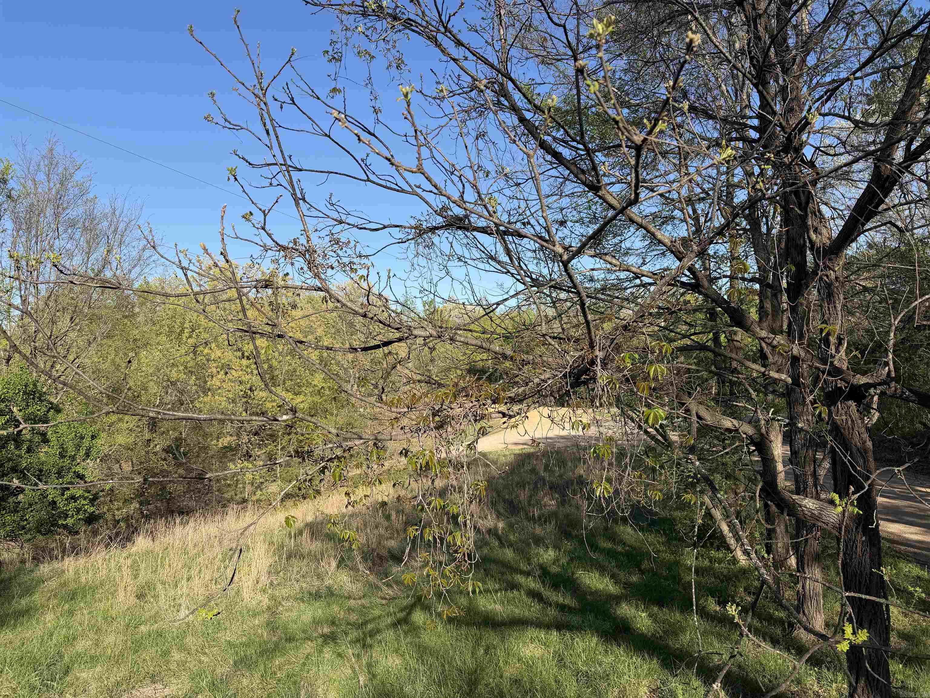 991 Clay 456  Piggott, AR