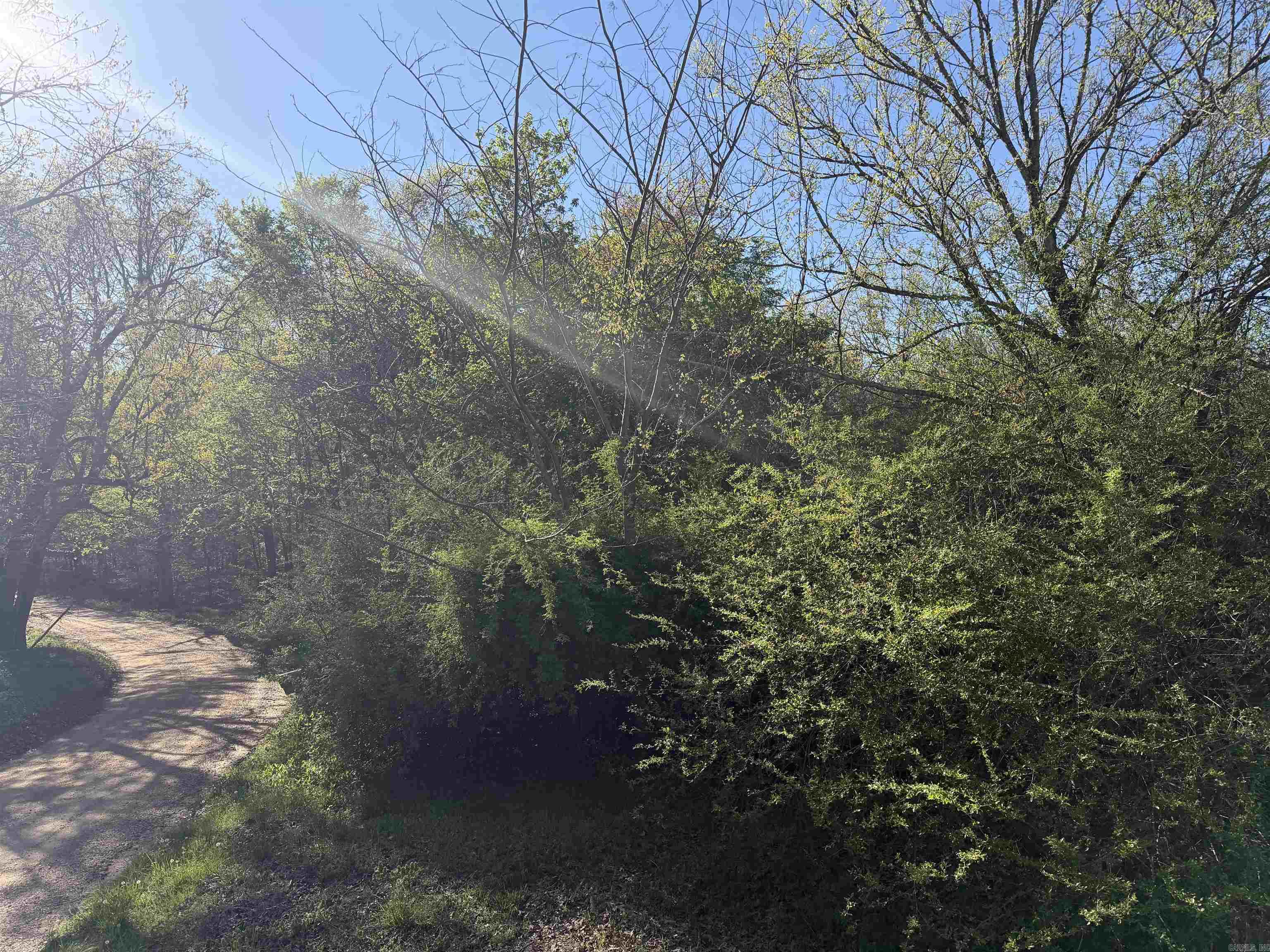 991 Clay 456  Piggott, AR