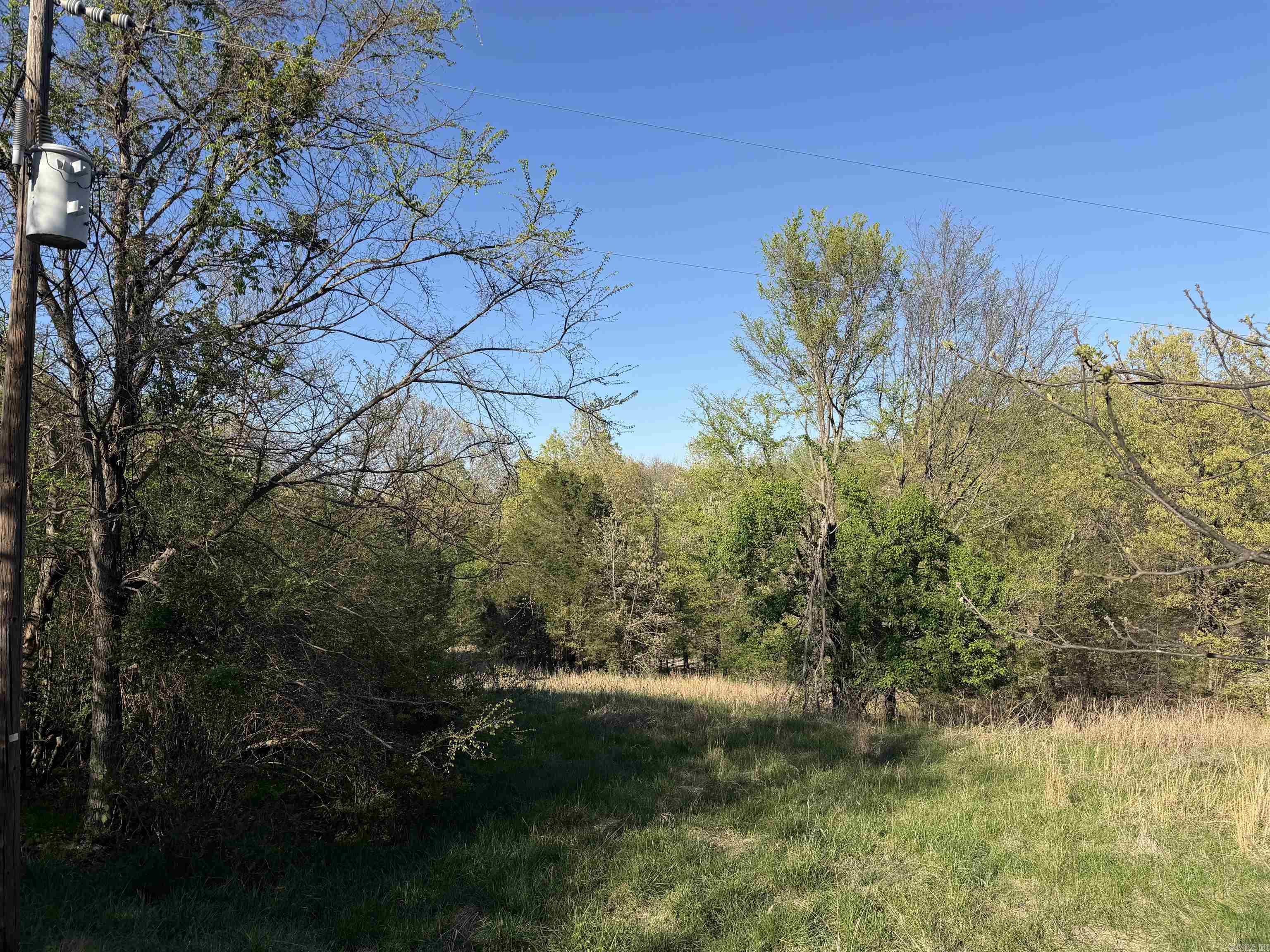 991 Clay 456  Piggott, AR