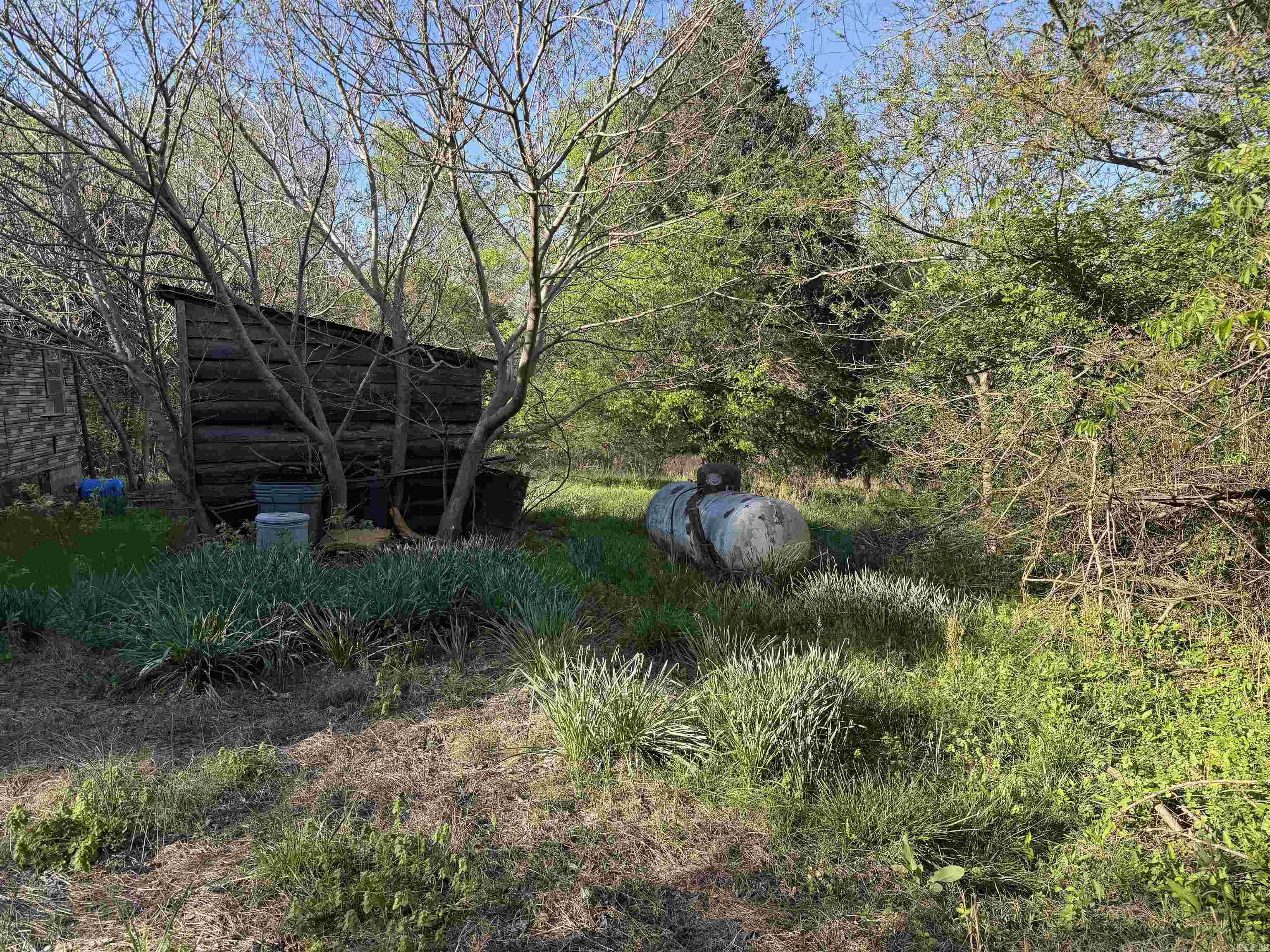 991 Clay 456  Piggott, AR