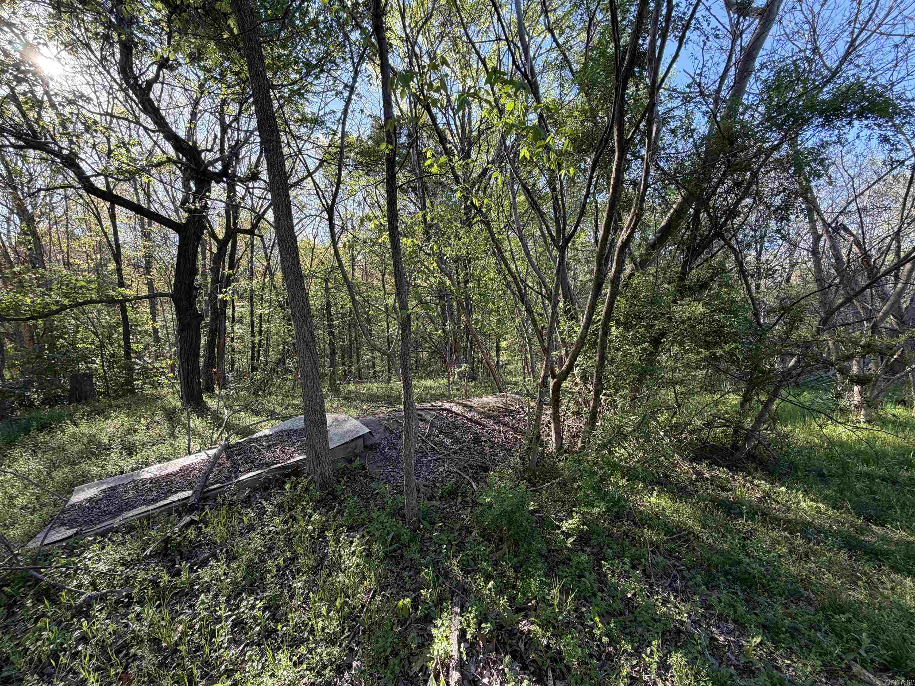 991 Clay 456  Piggott, AR