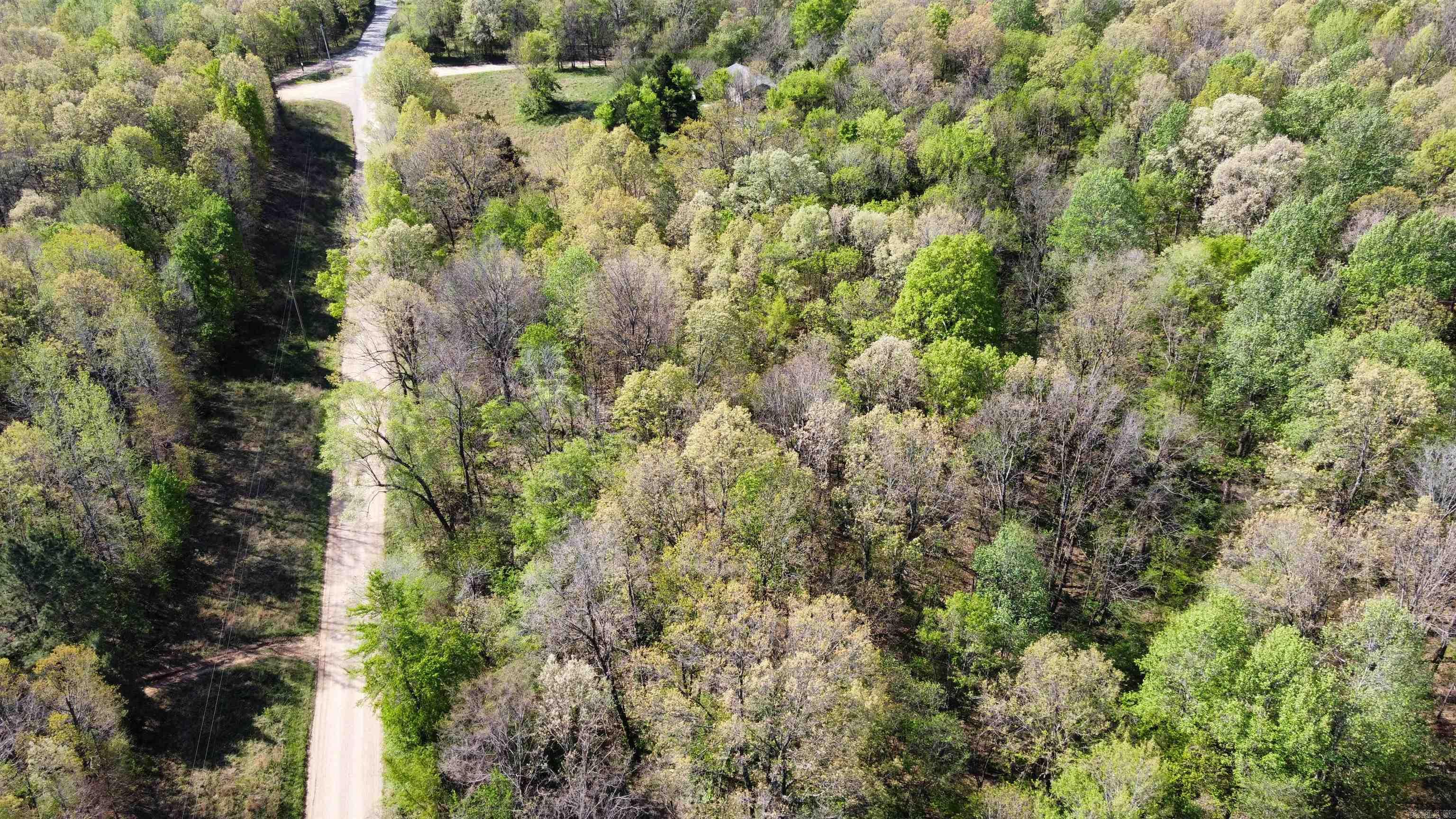 991 Clay 456  Piggott, AR