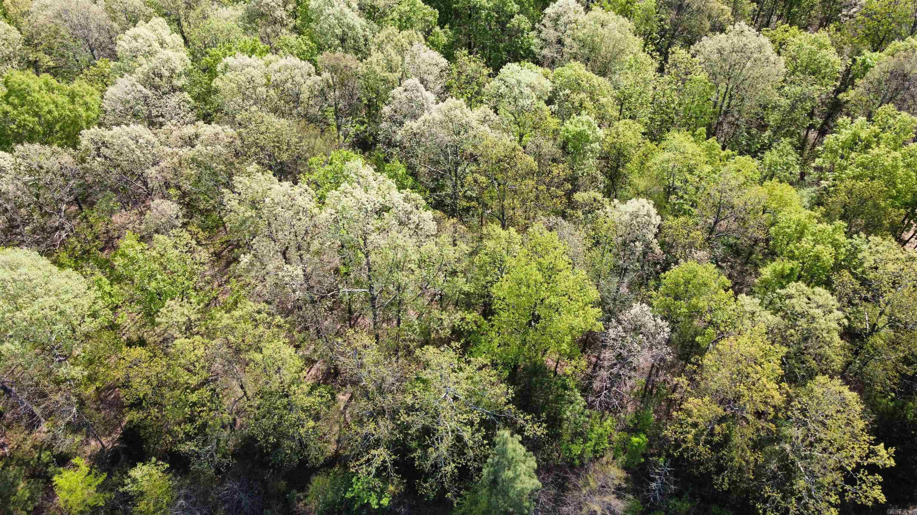 991 Clay 456  Piggott, AR