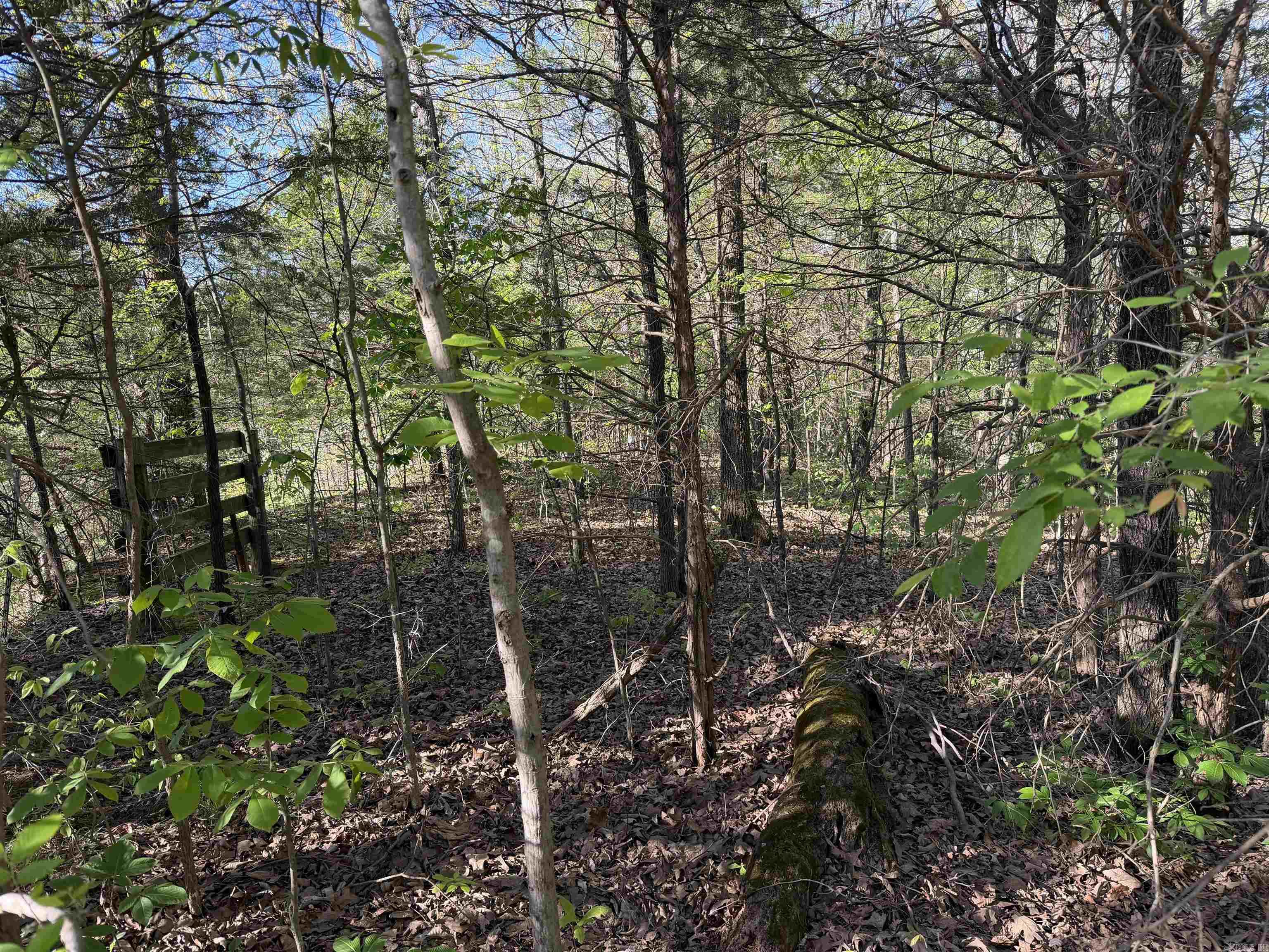 991 Clay 456  Piggott, AR