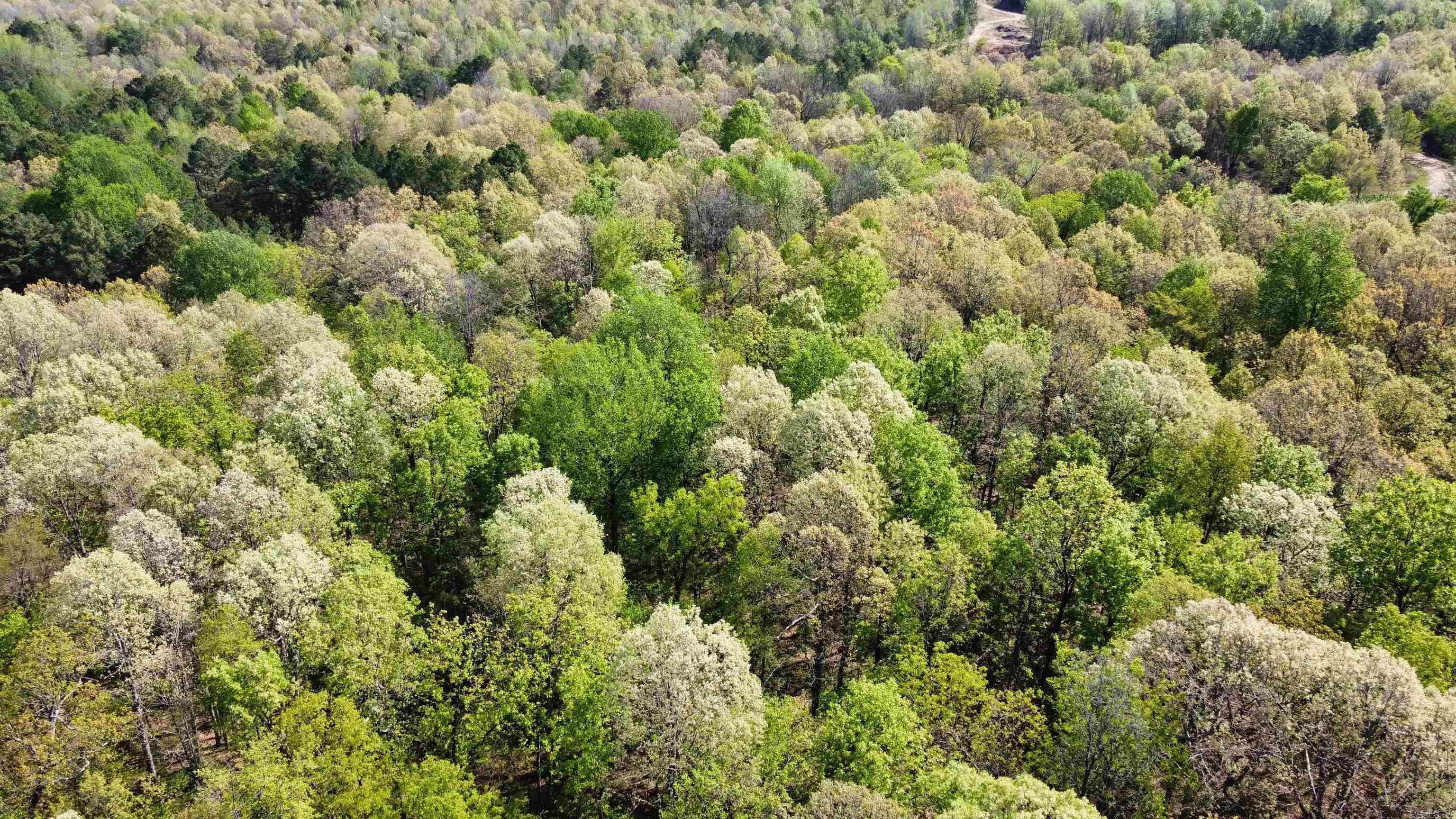 991 Clay 456  Piggott, AR