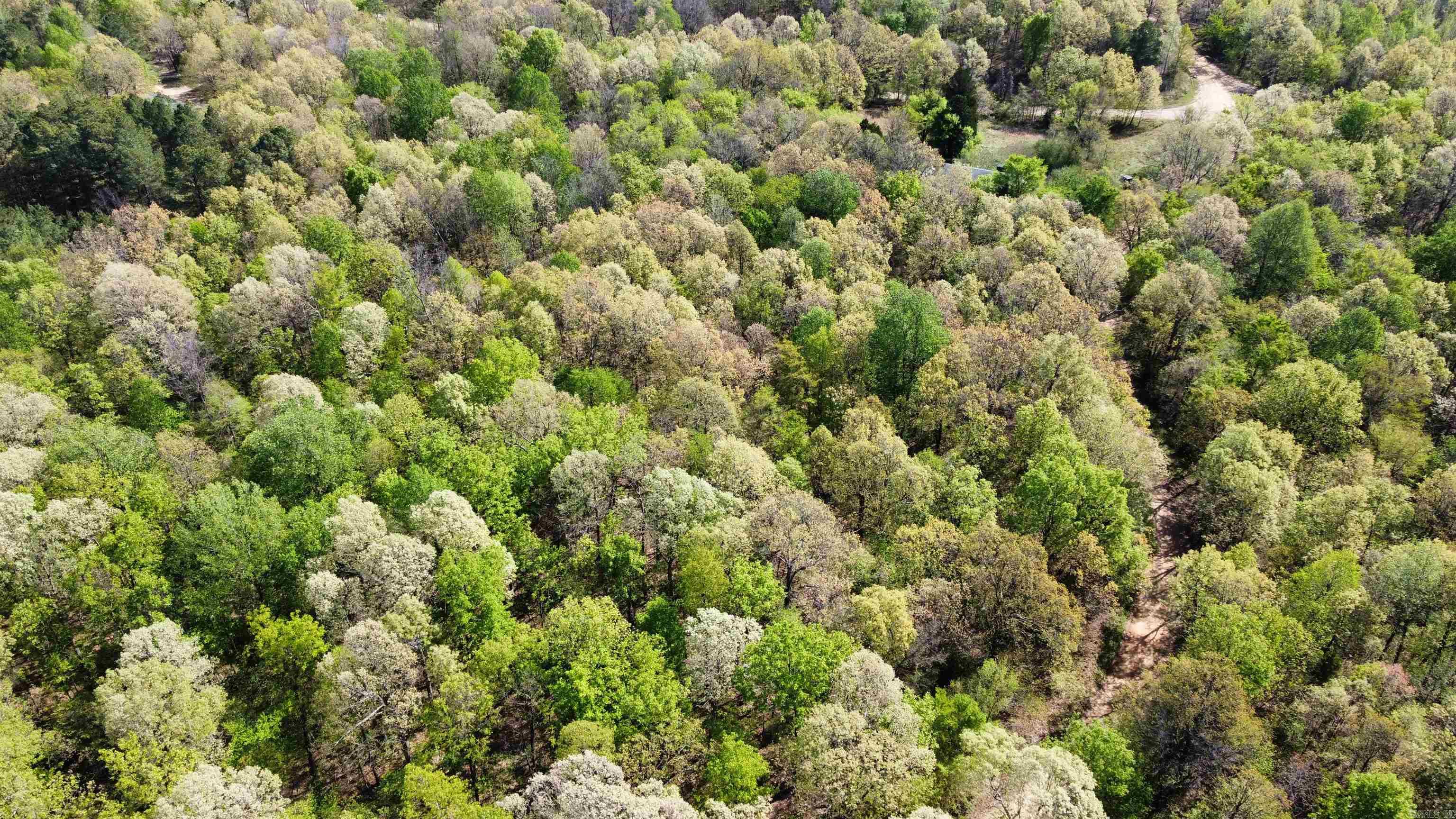 991 Clay 456  Piggott, AR