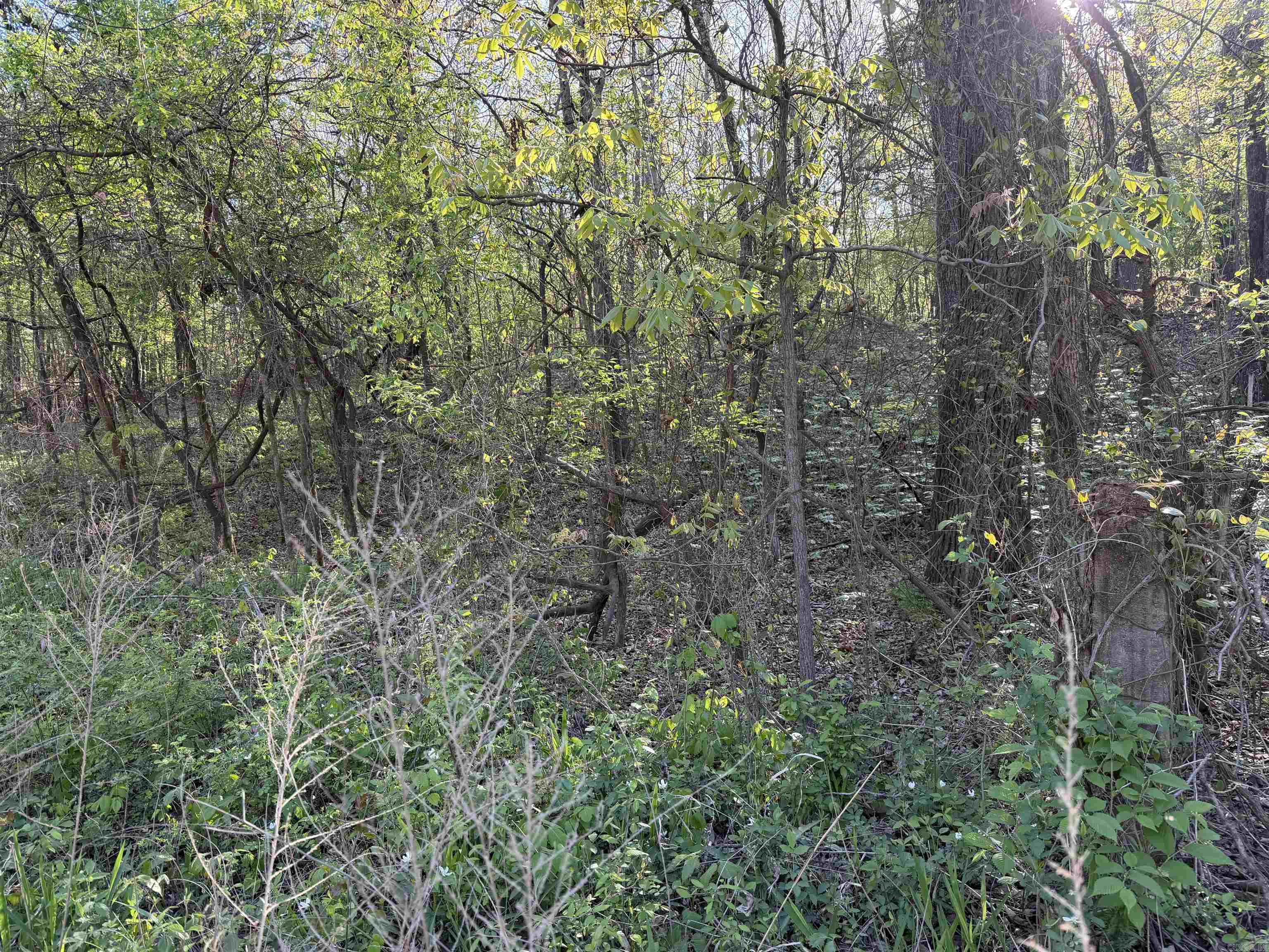 991 Clay 456  Piggott, AR