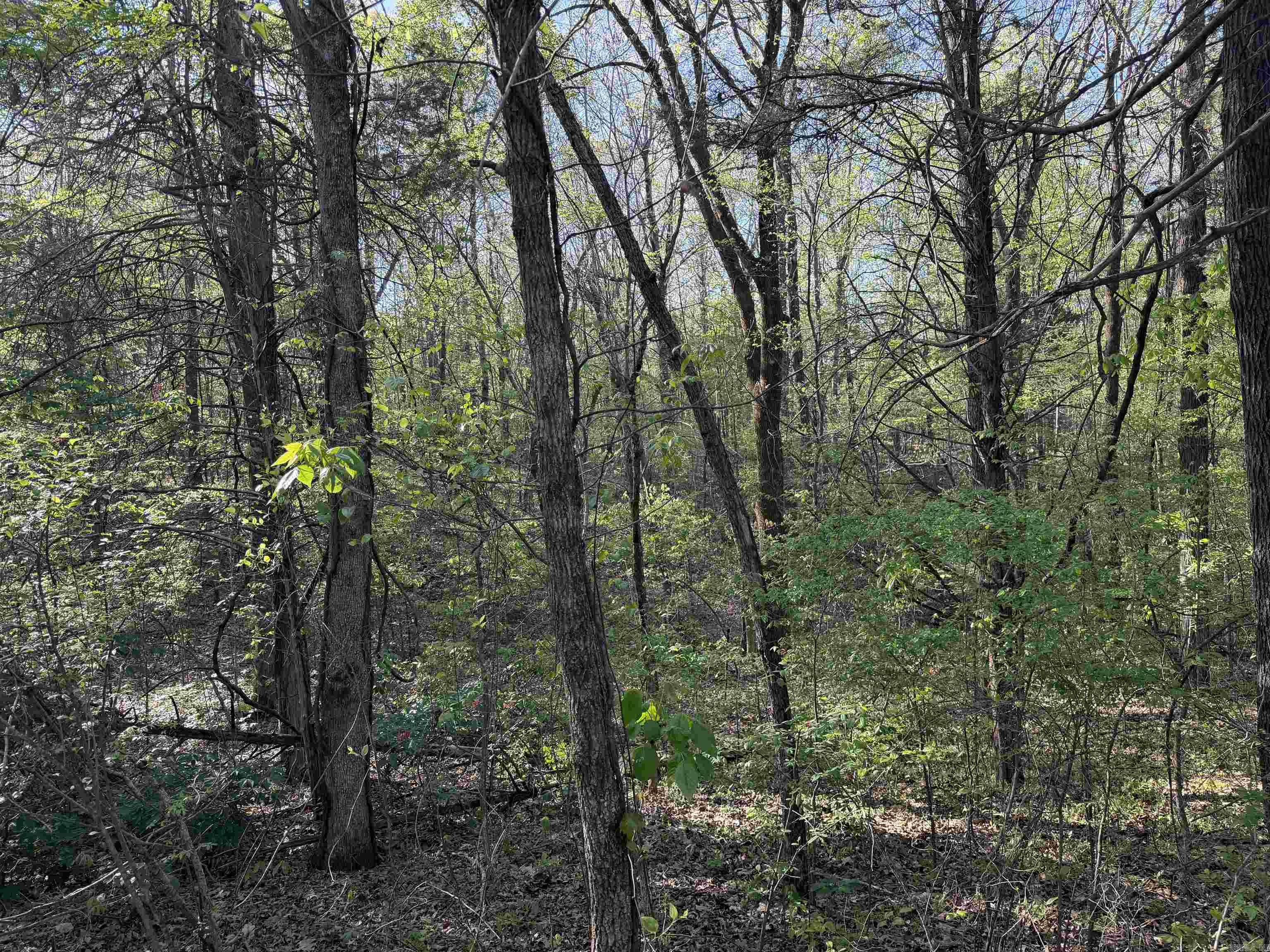 991 Clay 456  Piggott, AR