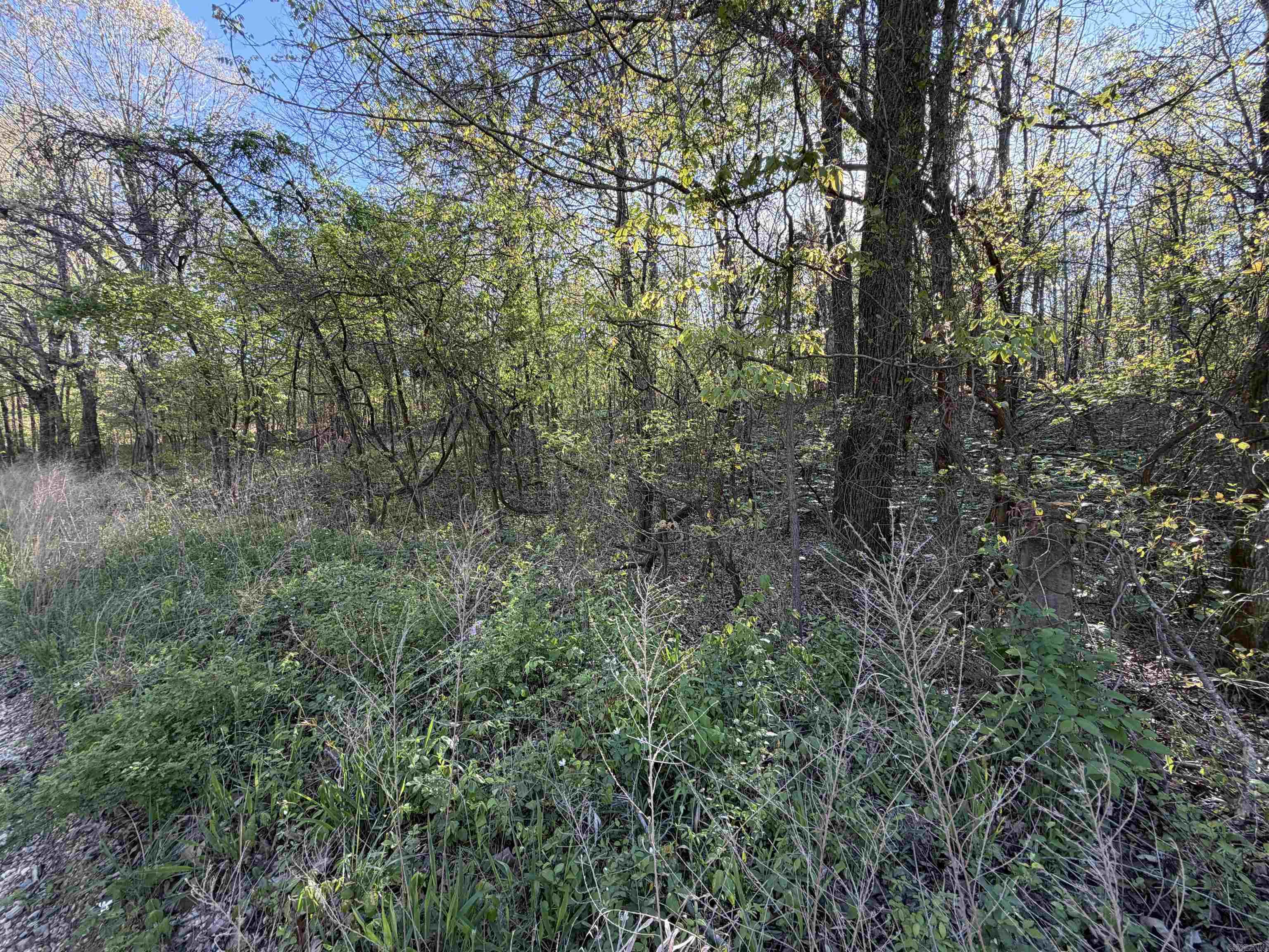 991 Clay 456  Piggott, AR