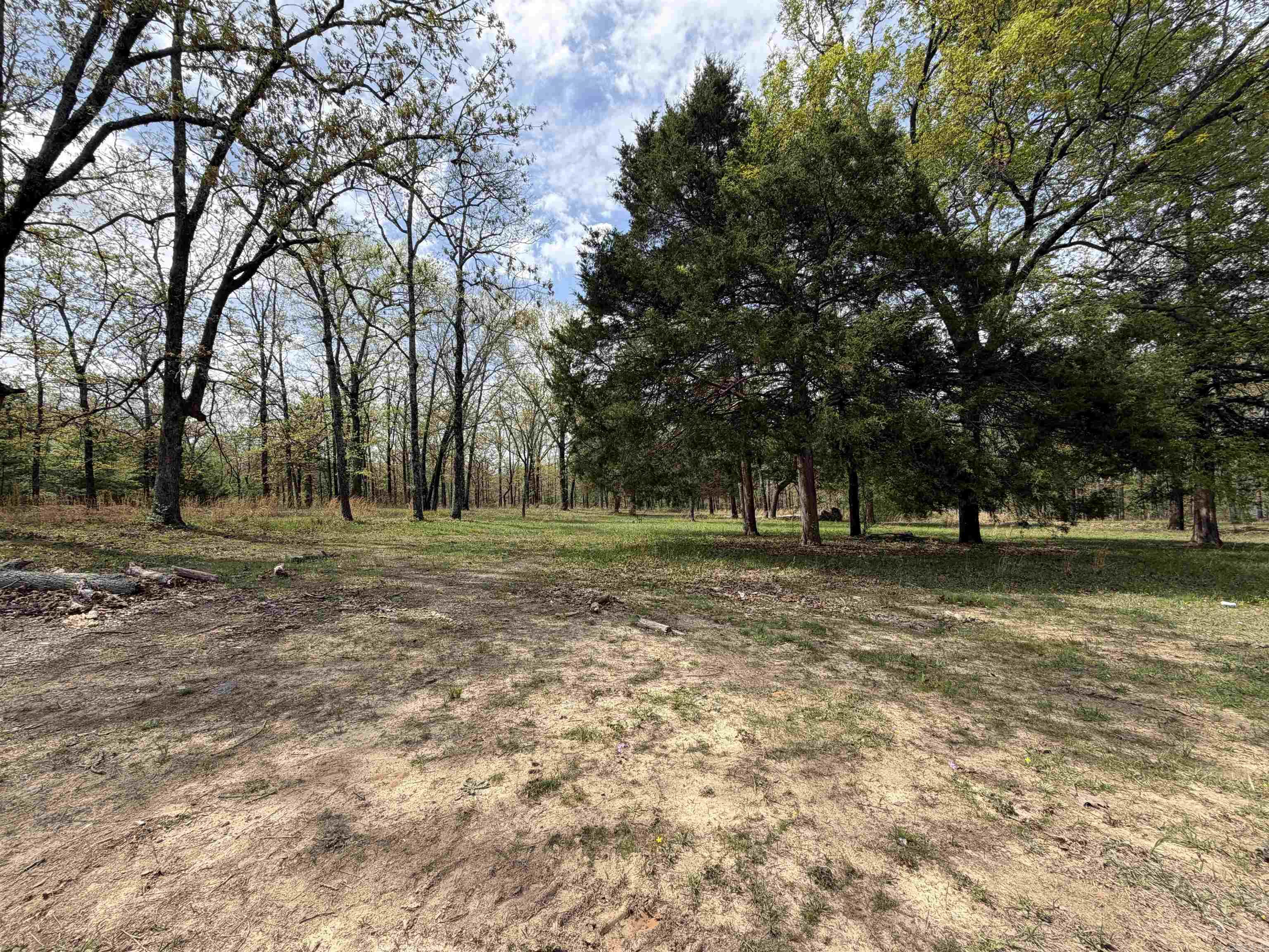 63 Briarwood  Greenbrier, AR