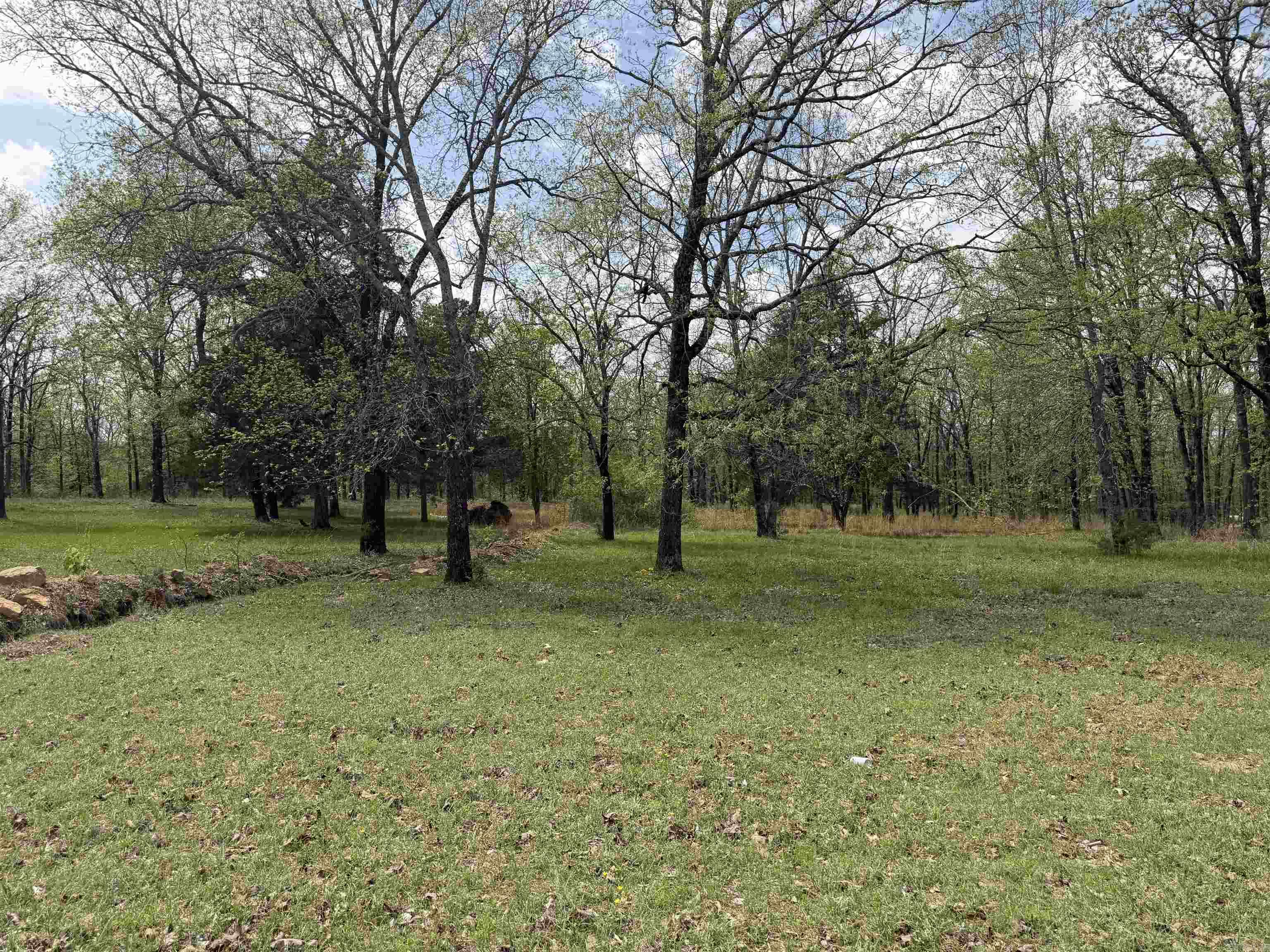 63 Briarwood  Greenbrier, AR