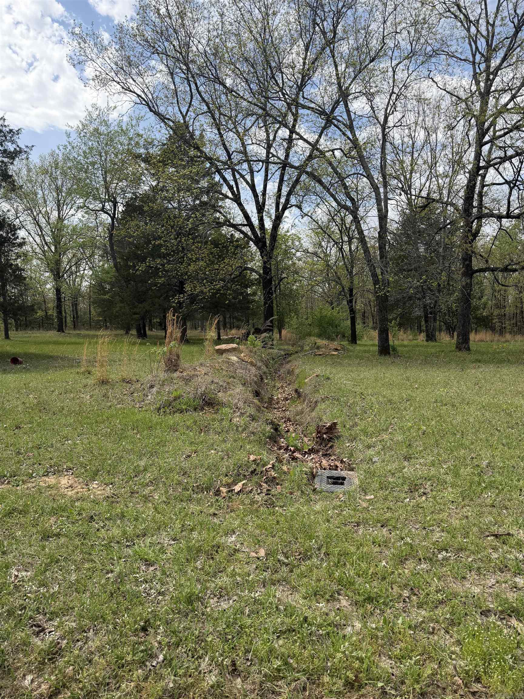 63 Briarwood  Greenbrier, AR