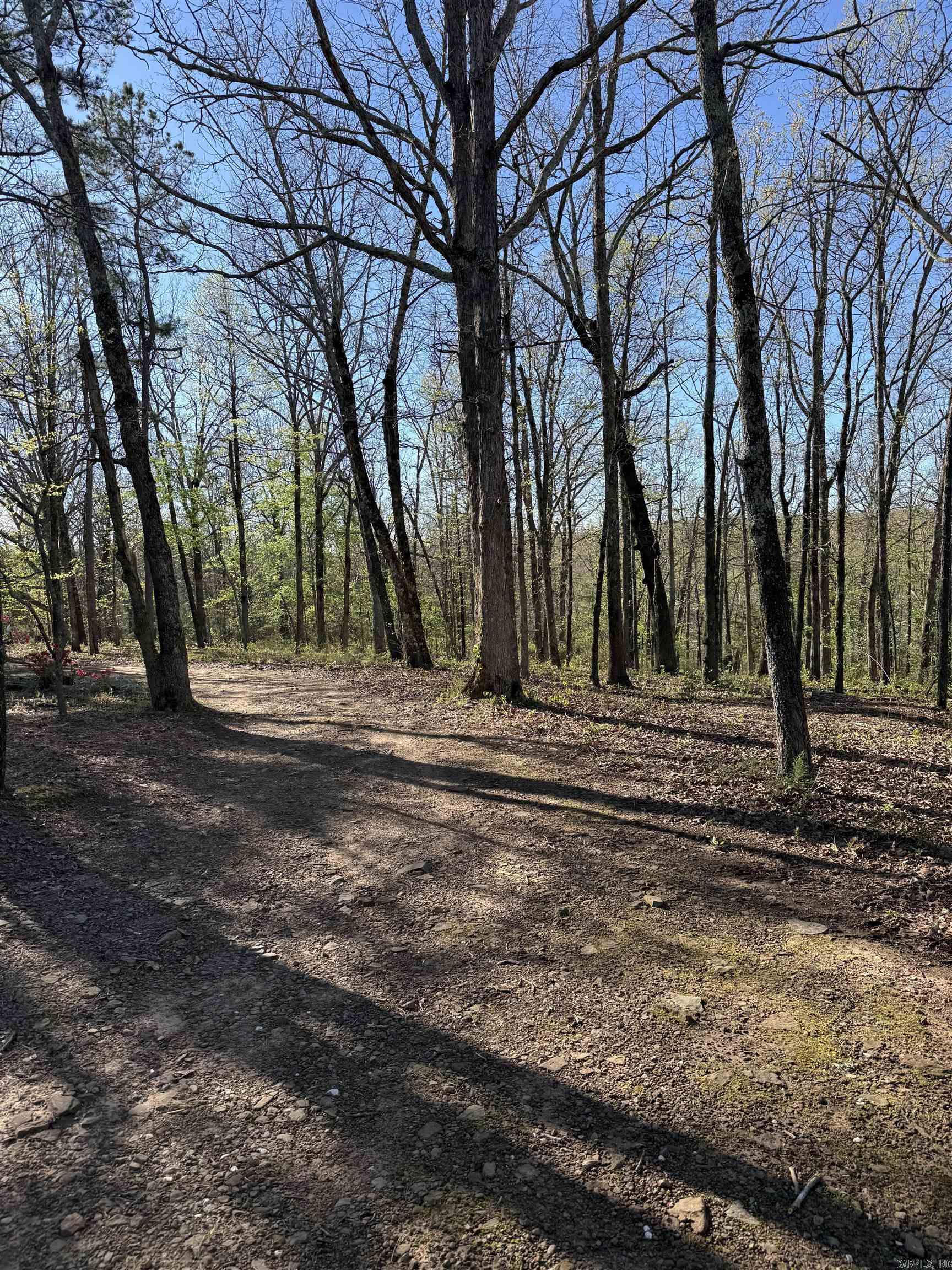 490 Otis Rd  Clinton, AR