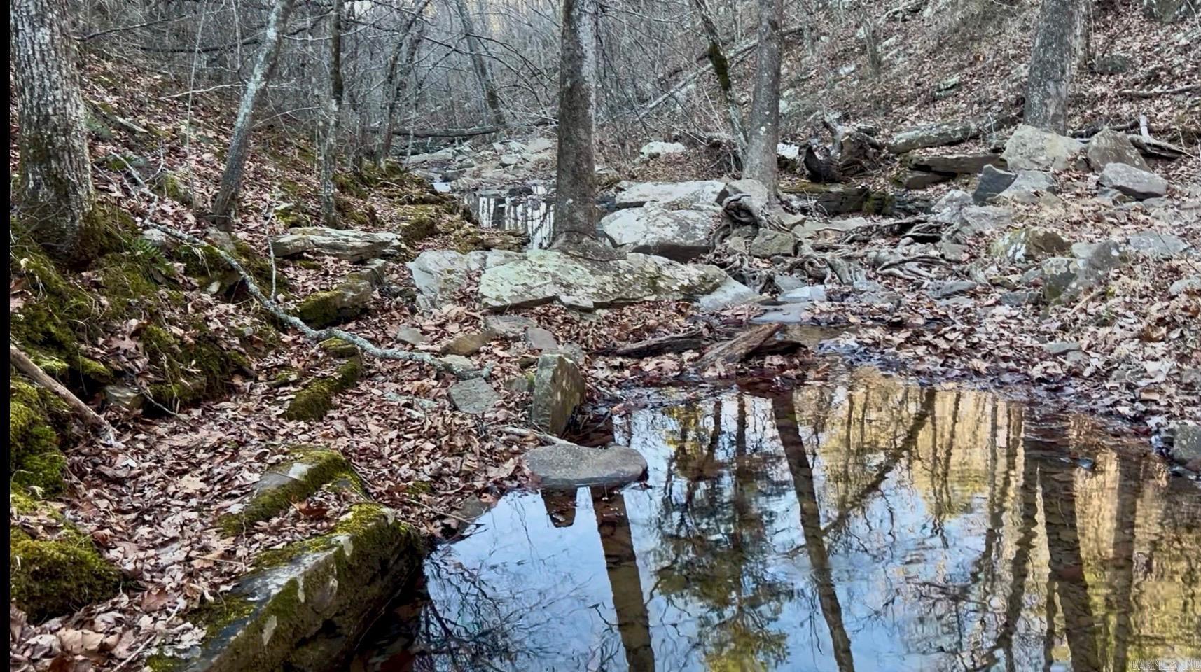 490 Otis Rd  Clinton, AR