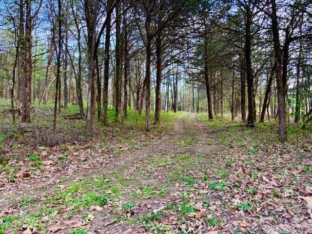 37 Acres Acree  Maynard, AR