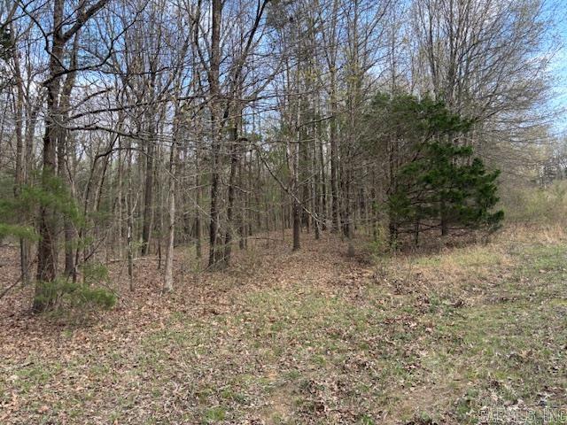 37 Acres Acree  Maynard, AR