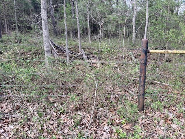 37 Acres Acree  Maynard, AR