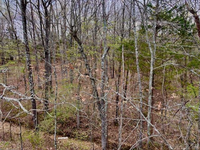 37 Acres Acree  Maynard, AR