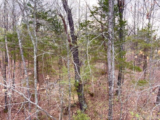 37 Acres Acree  Maynard, AR