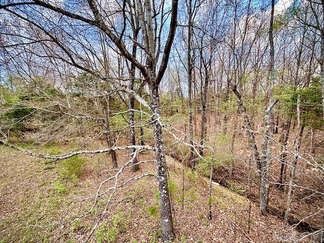 37 Acres Acree  Maynard, AR