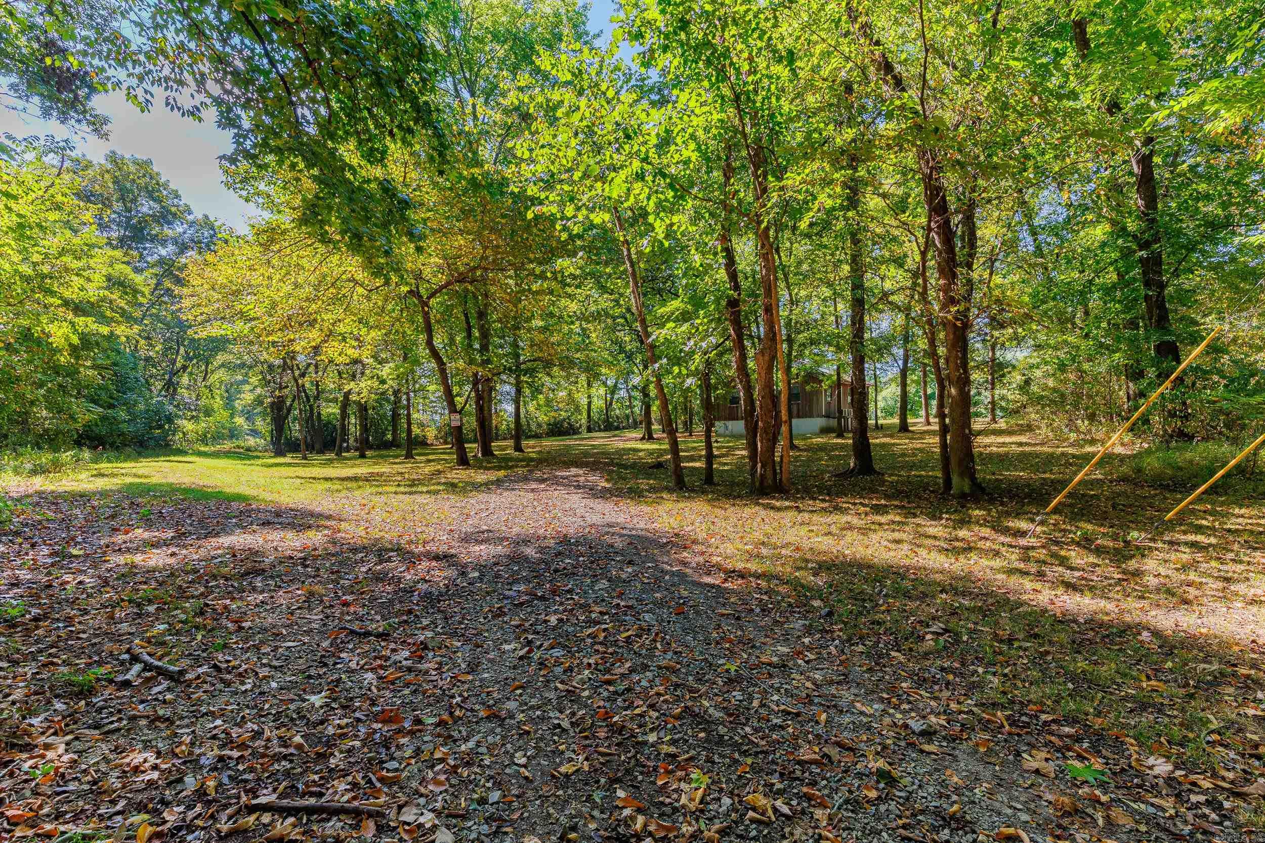 1194 Sadieville  Calico Rock, AR