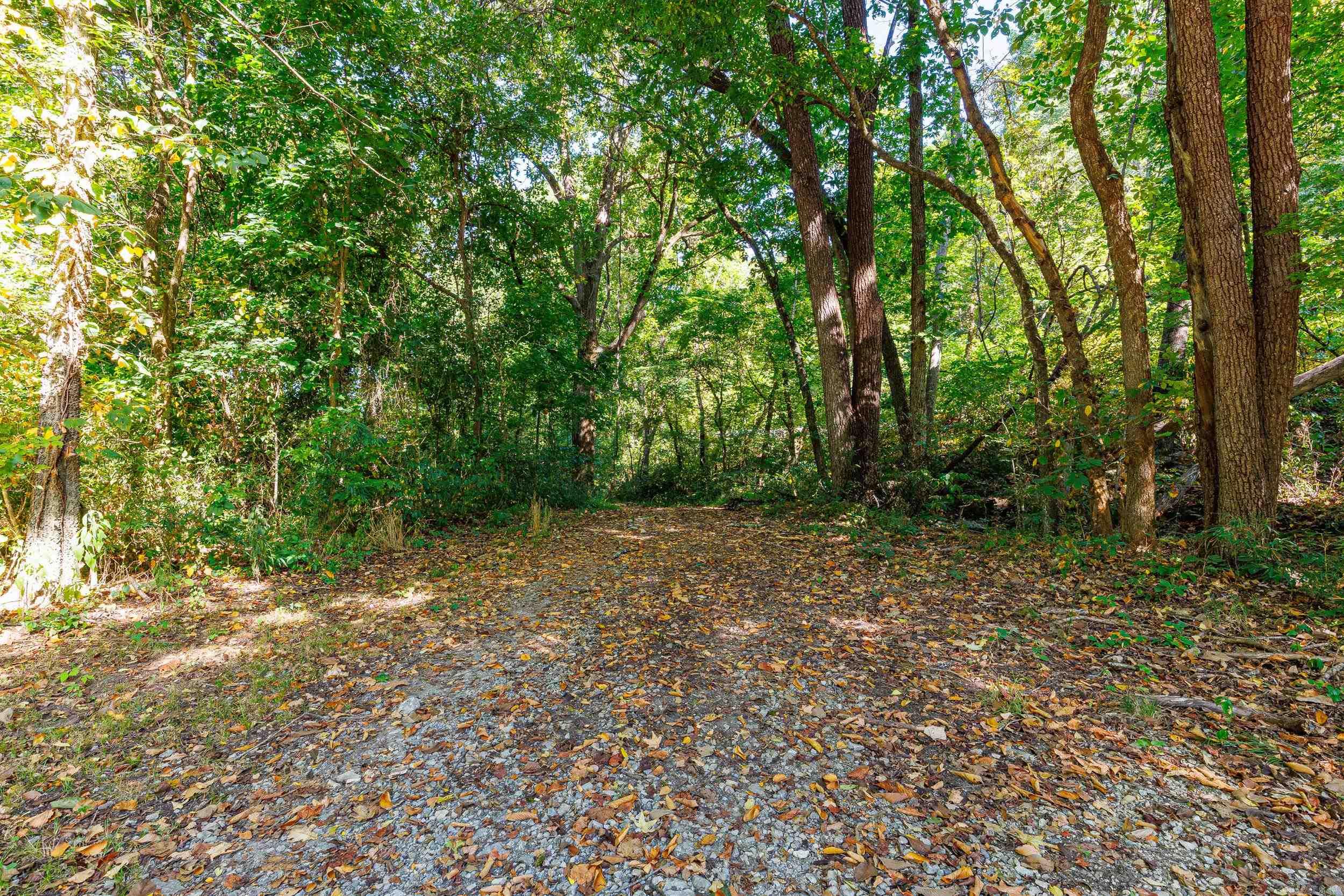 1194 Sadieville  Calico Rock, AR