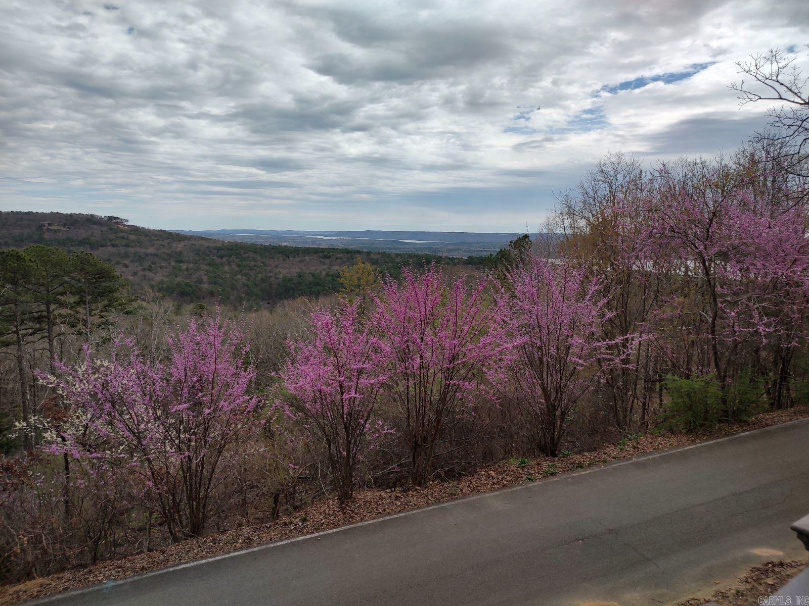 125 Chelsea Dr. #28  Fairfield Bay, AR