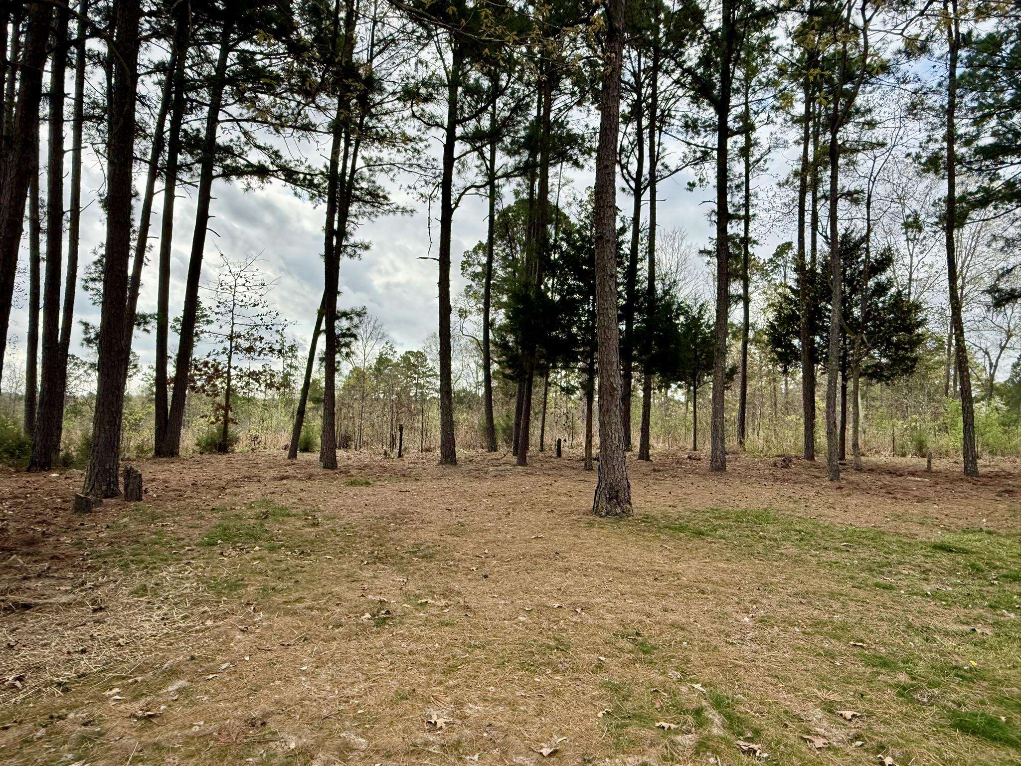 335 Ballard  Oxford, AR