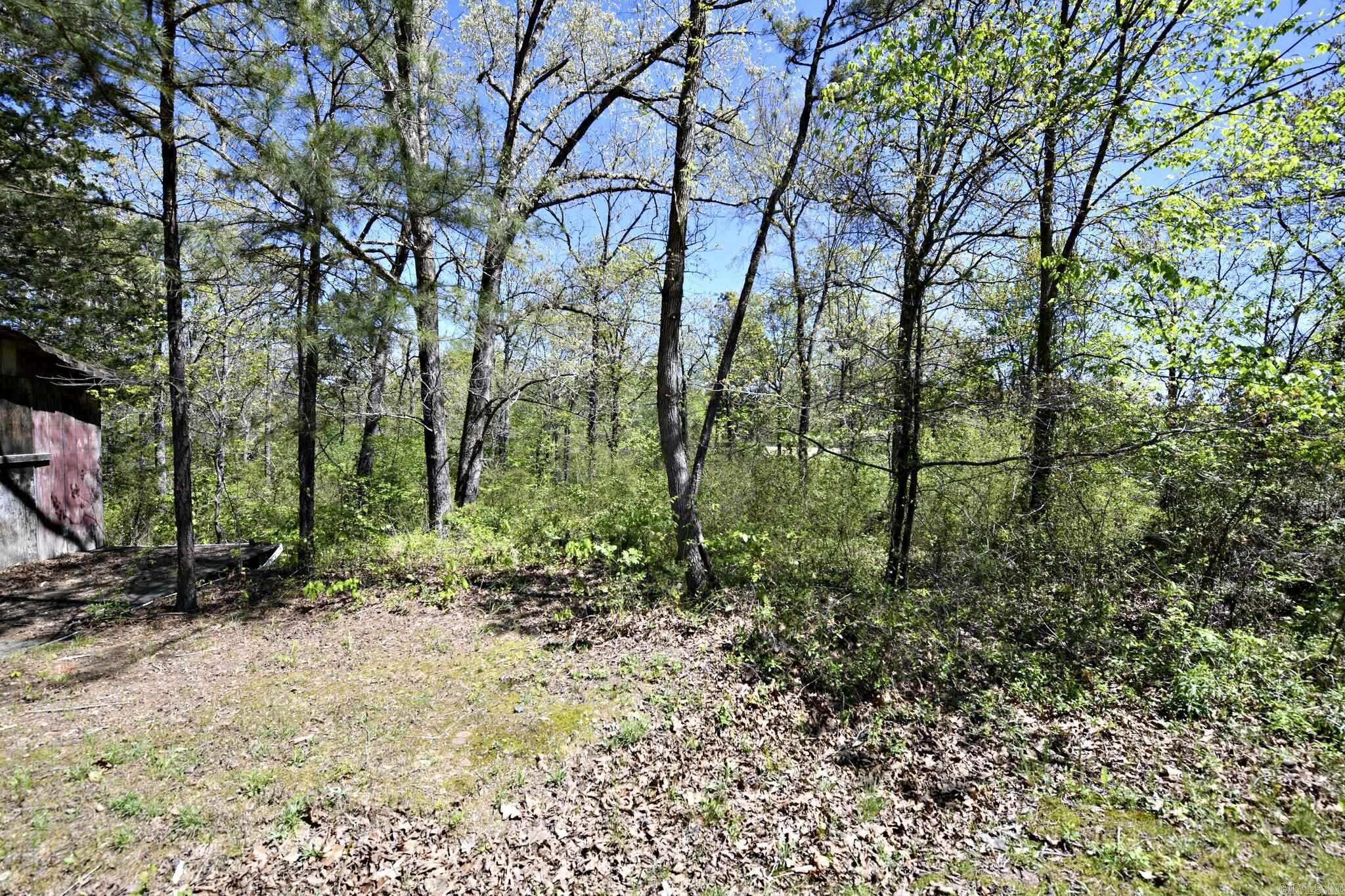 118 Polk Road 76 E  Mena, AR