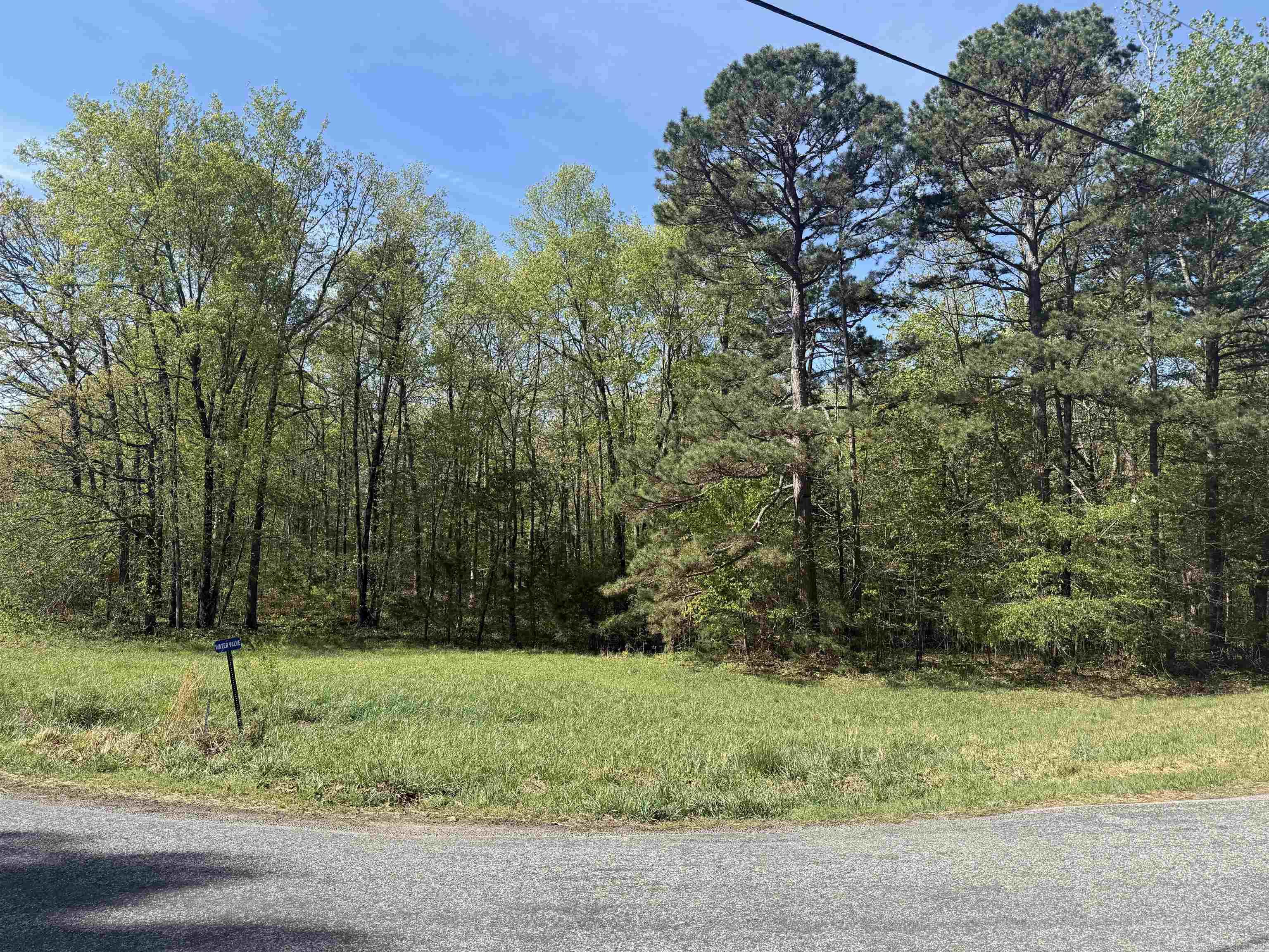 00 Plantation DR  Heber Springs, AR