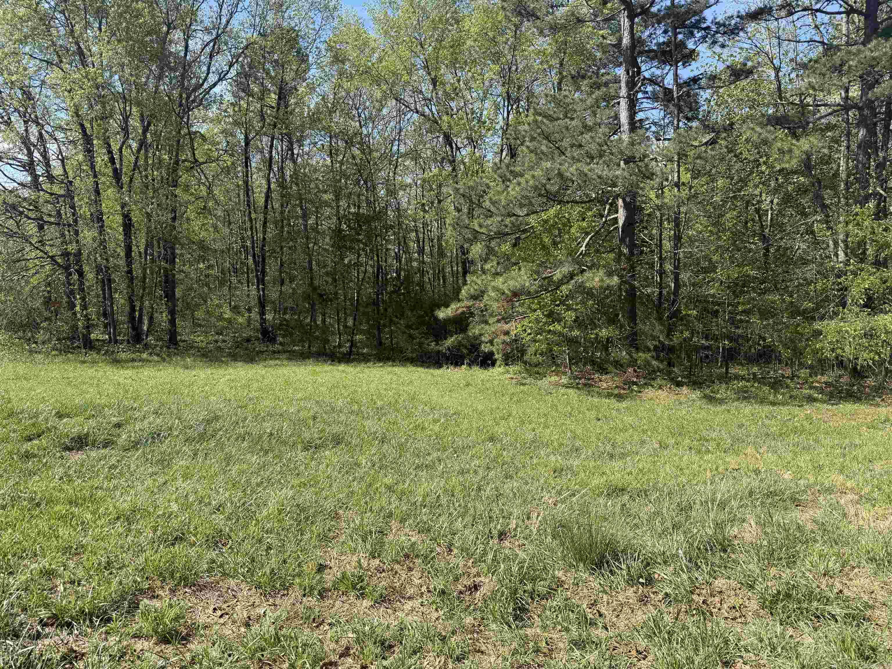 00 Plantation DR  Heber Springs, AR